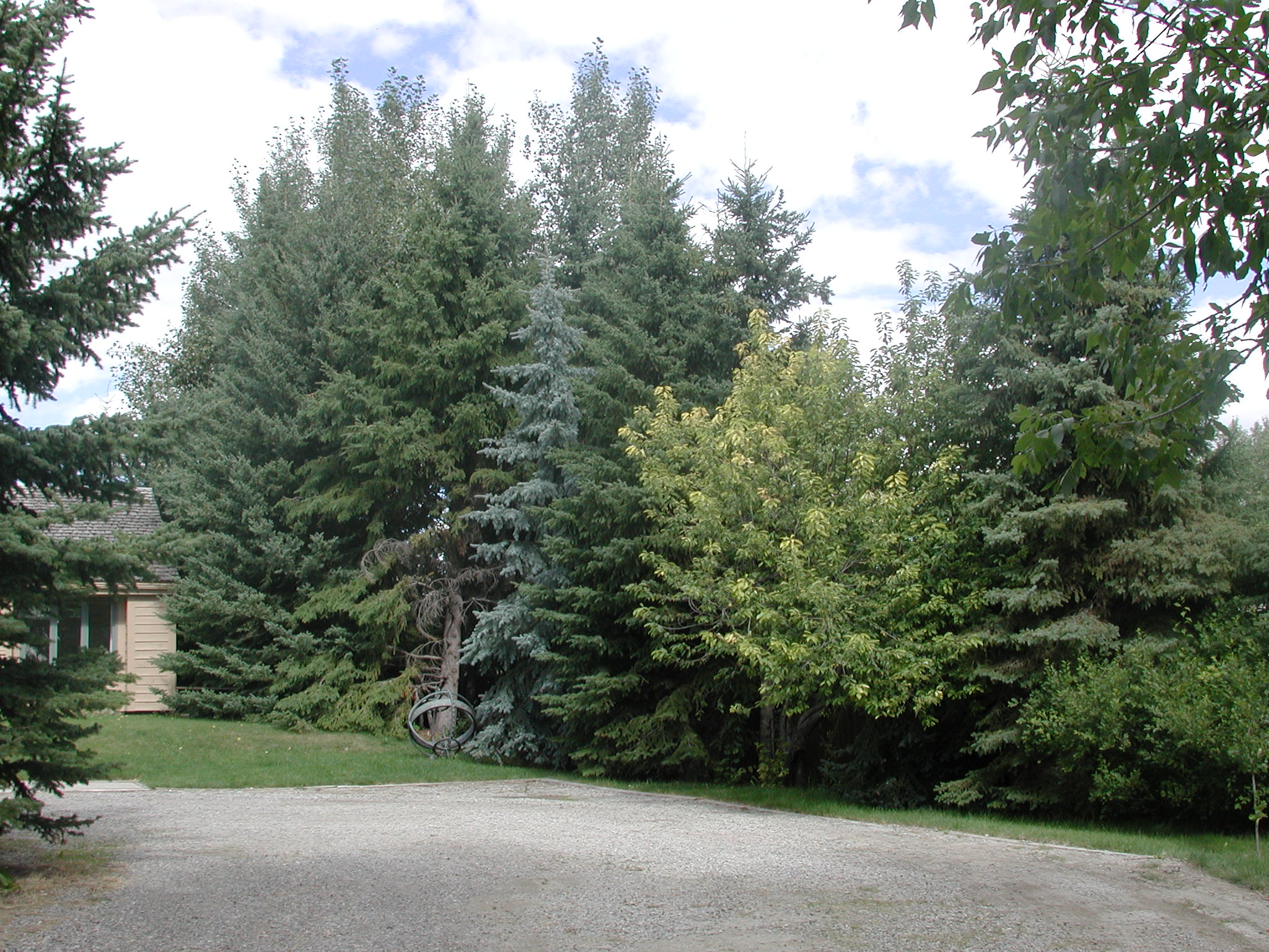 DSCN0531.JPG, 708811 bytes, 8/27/00