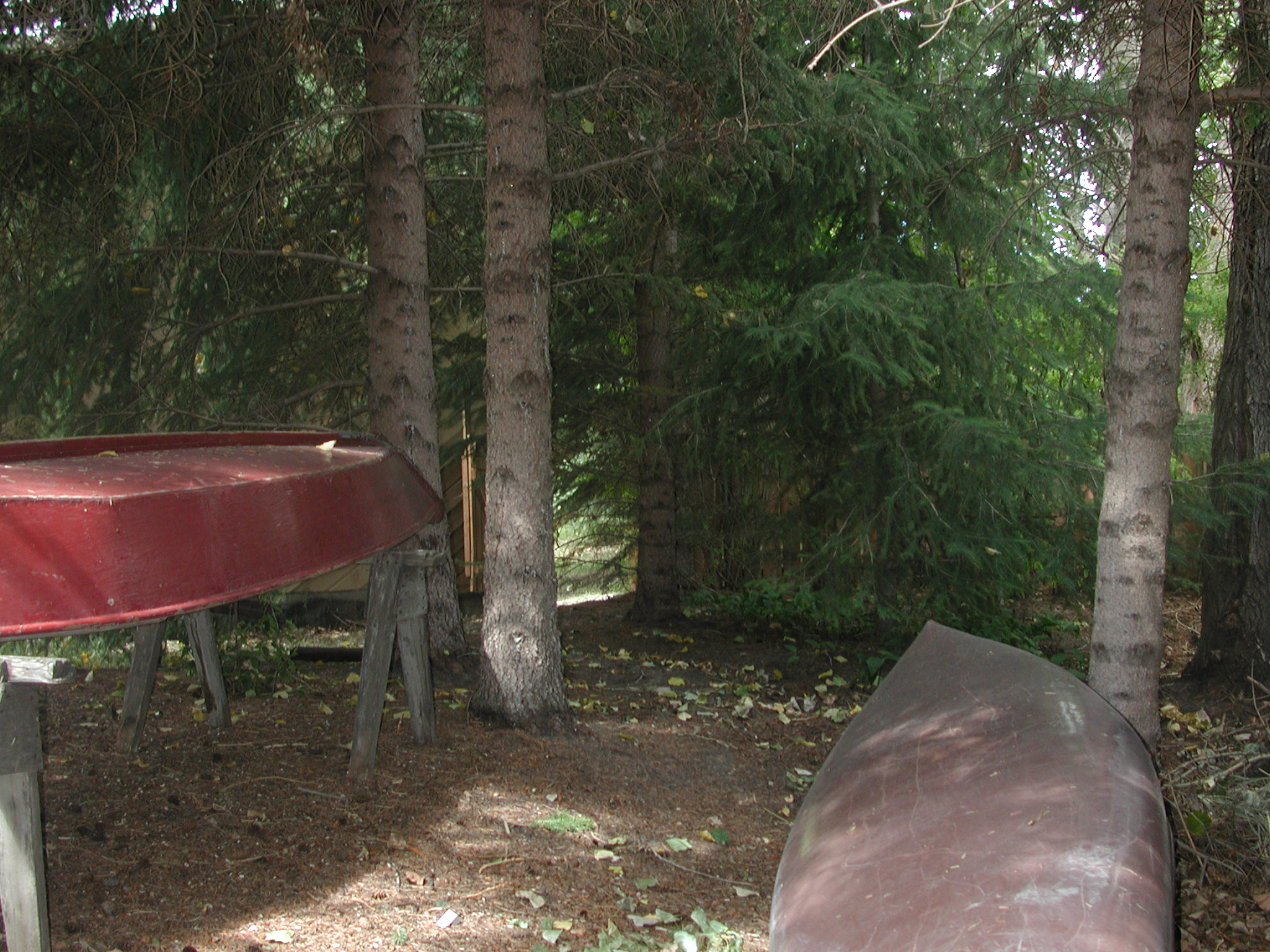 DSCN0532.JPG, 698174 bytes, 8/27/00