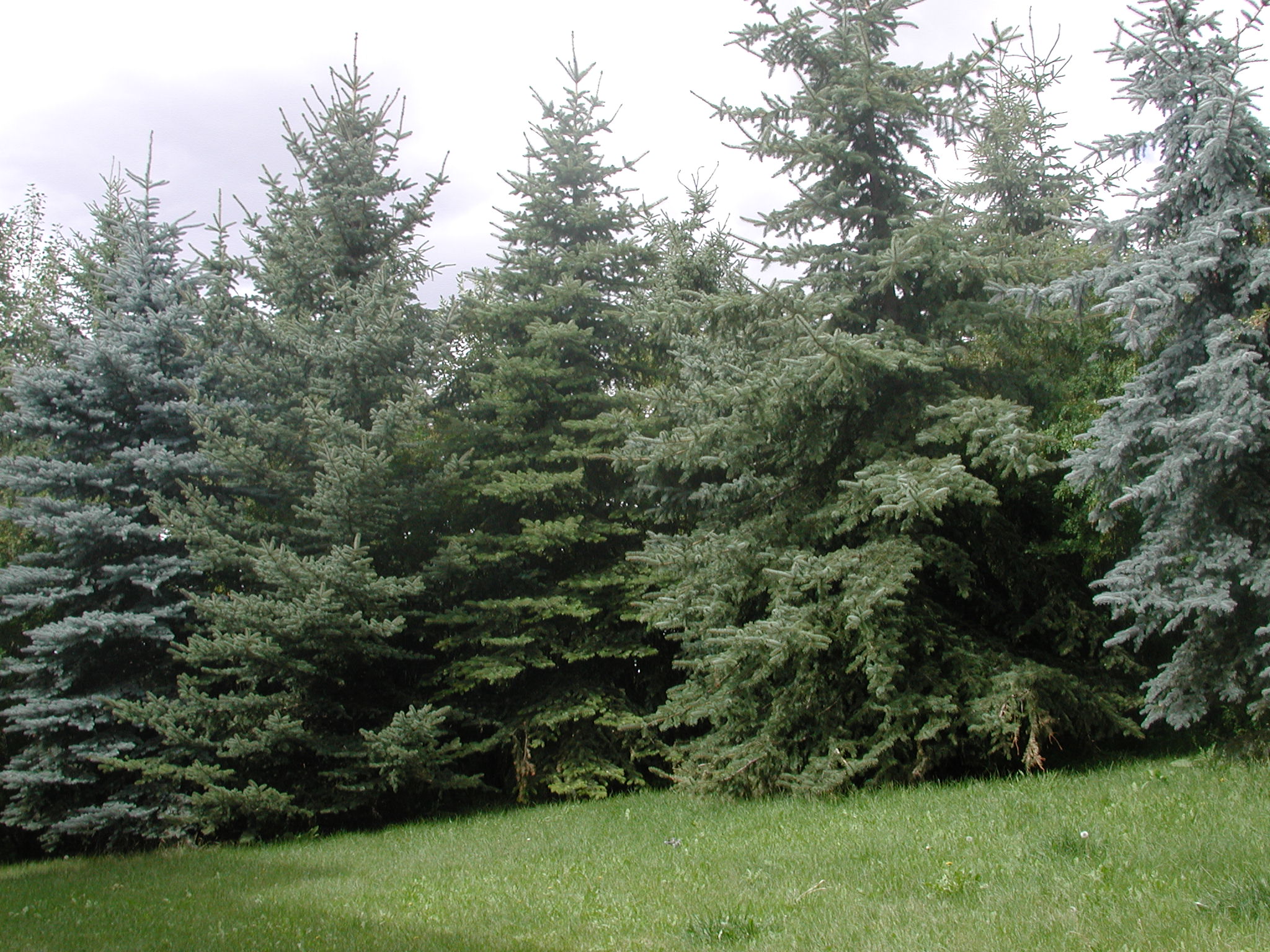 DSCN0533.JPG, 700138 bytes, 8/27/00