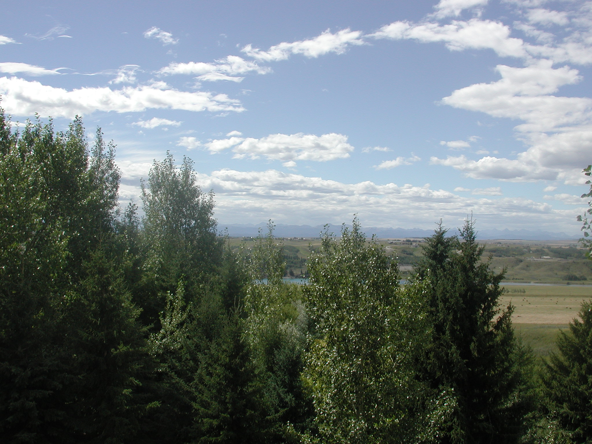 DSCN0536.JPG, 664684 bytes, 8/27/00