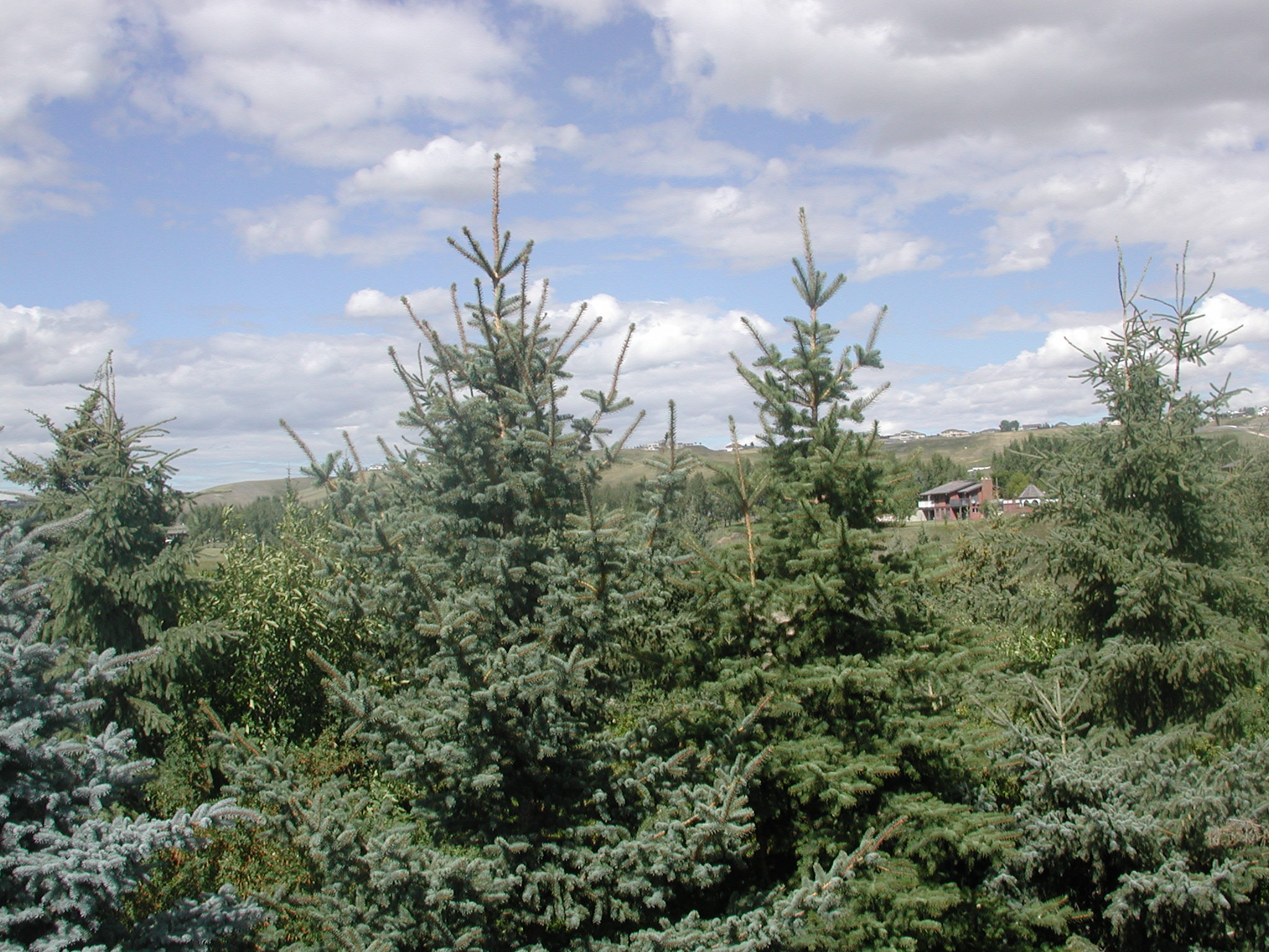 DSCN0538.JPG, 697592 bytes, 8/27/00