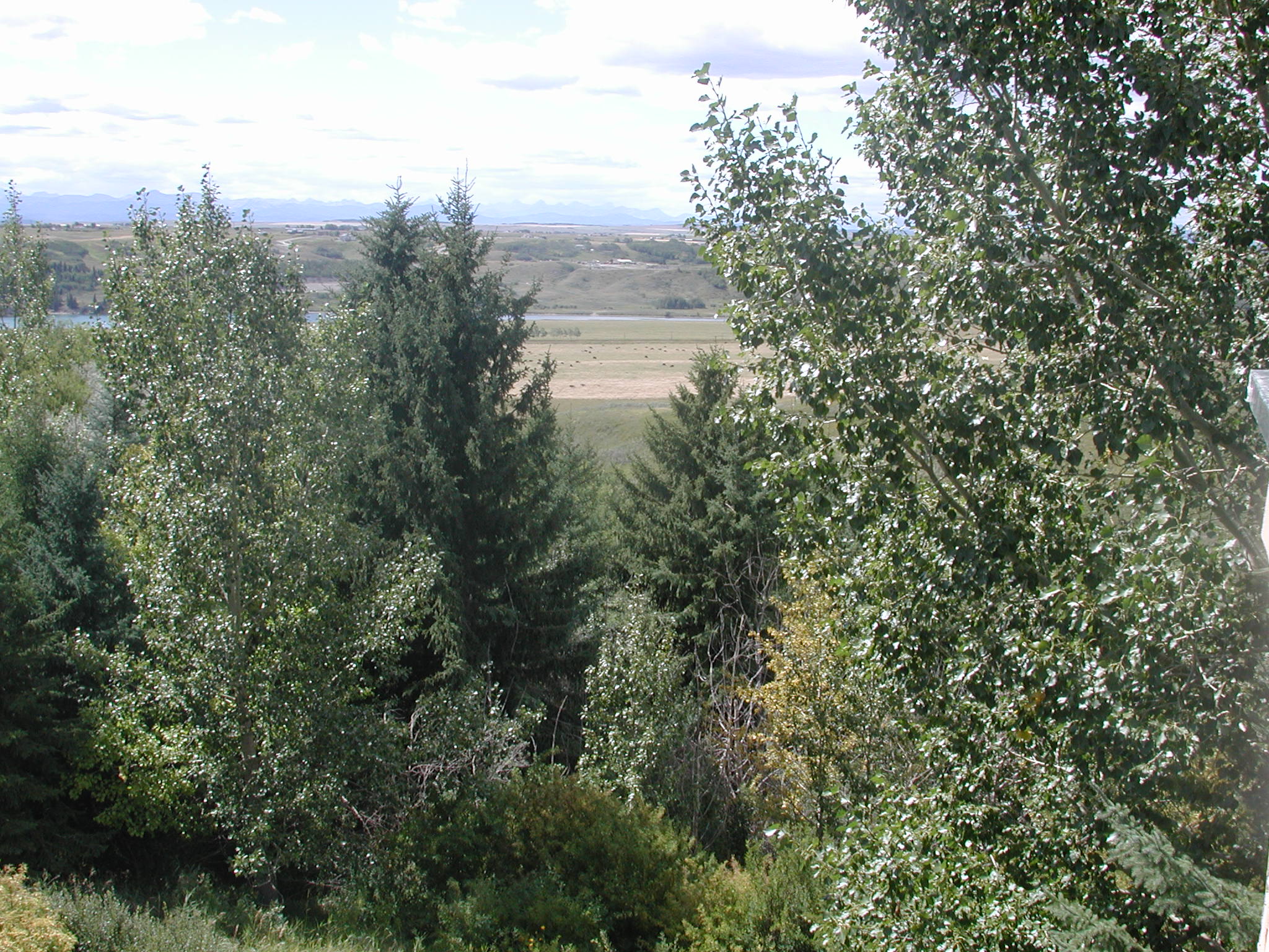 DSCN0539.JPG, 722872 bytes, 8/27/00