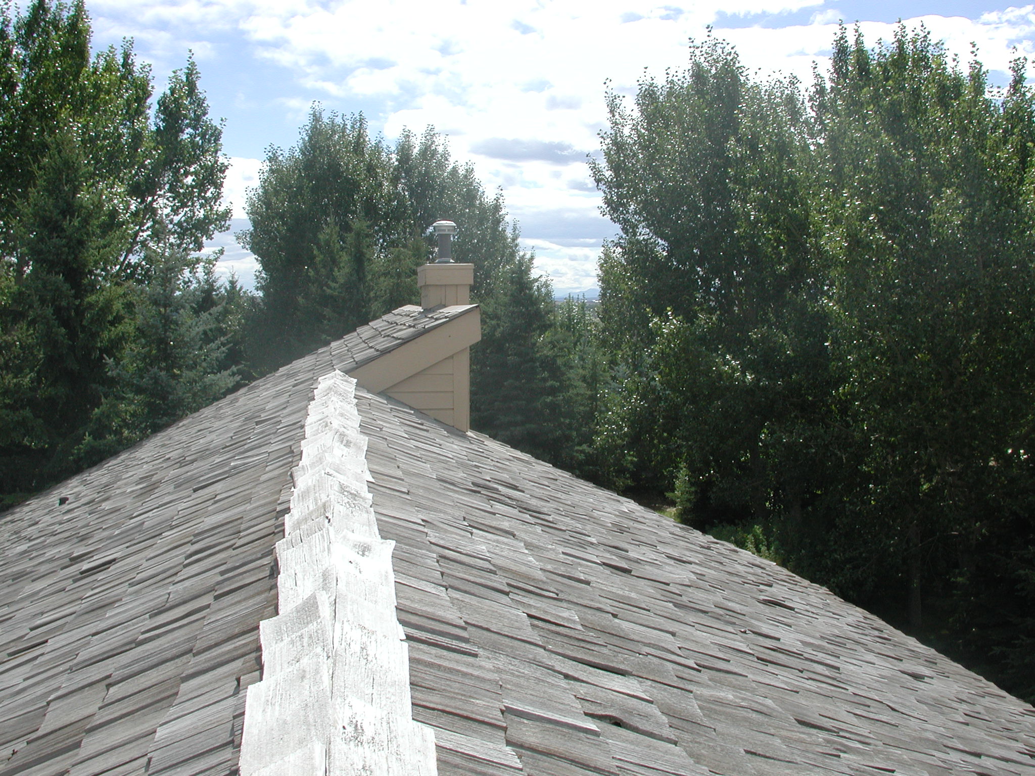 DSCN0541.JPG, 694613 bytes, 8/27/00