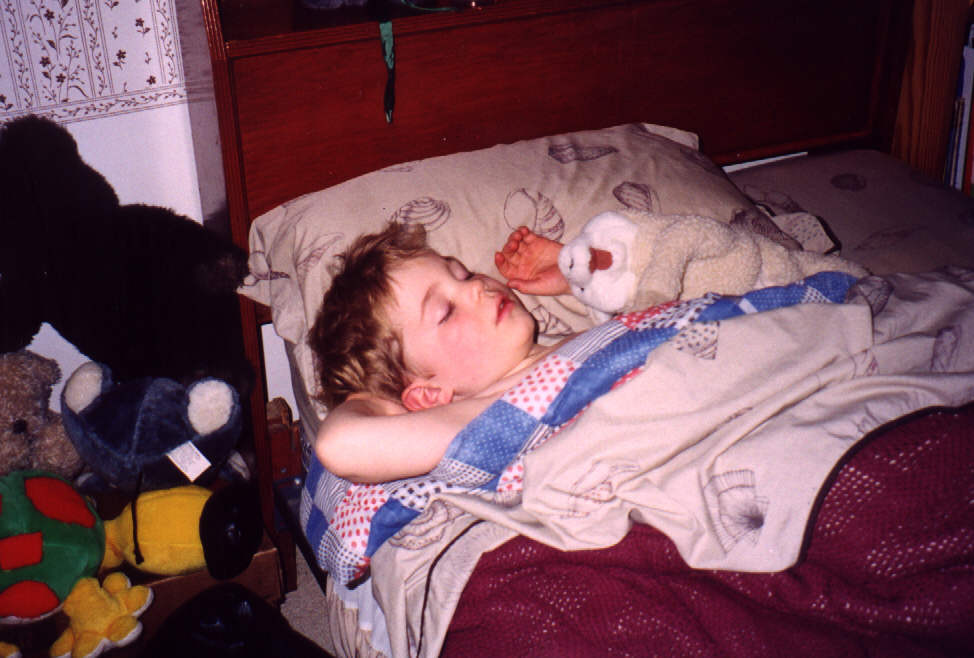 tristan sleeping.jpg, 82441 bytes, 3/18/00