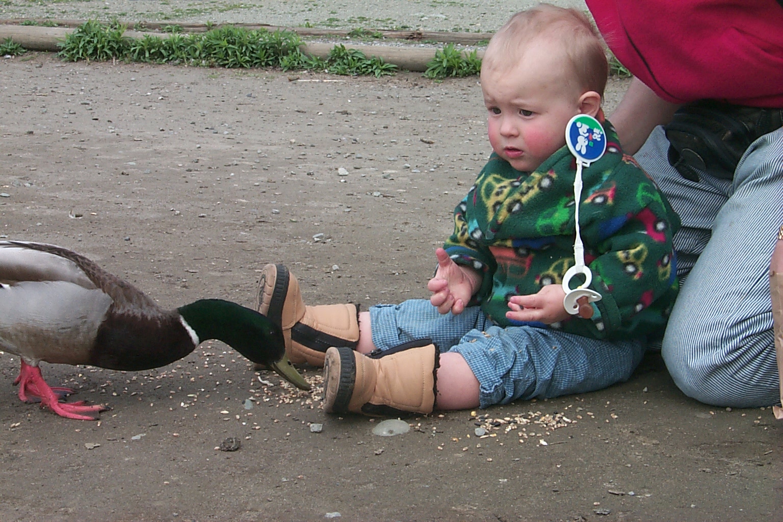 P0001822.jpg, 537292 bytes, 5/22/00