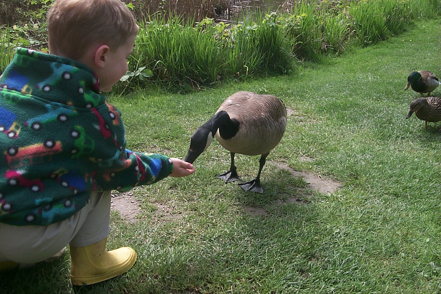 P0001838.jpg, 719820 bytes, 5/22/00