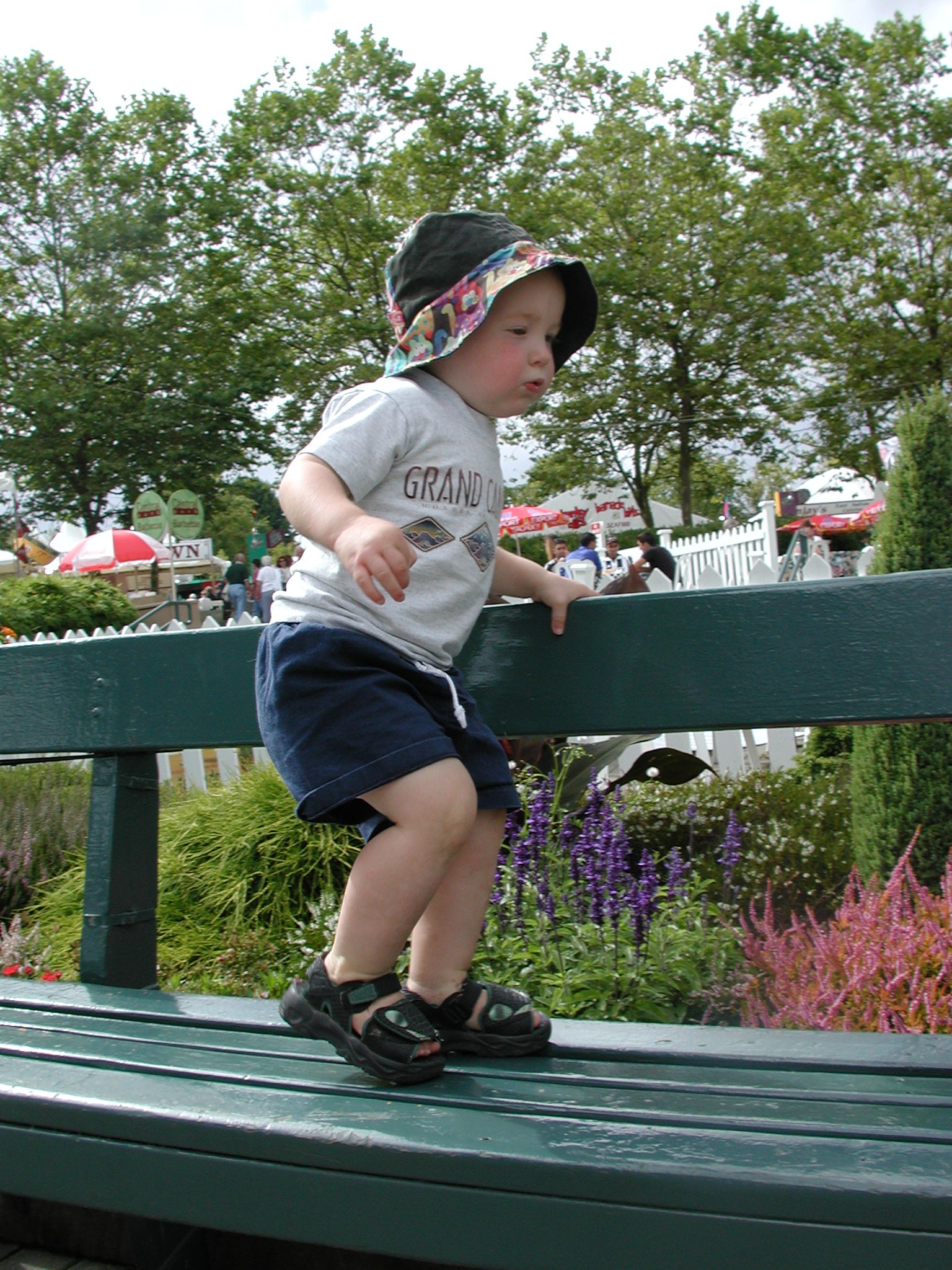 DSCN0241.JPG, 811699 bytes, 8/19/00