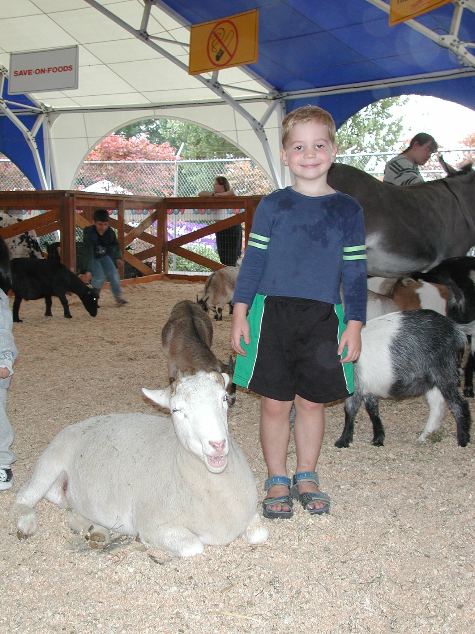 DSCN0246.JPG, 792086 bytes, 8/19/00