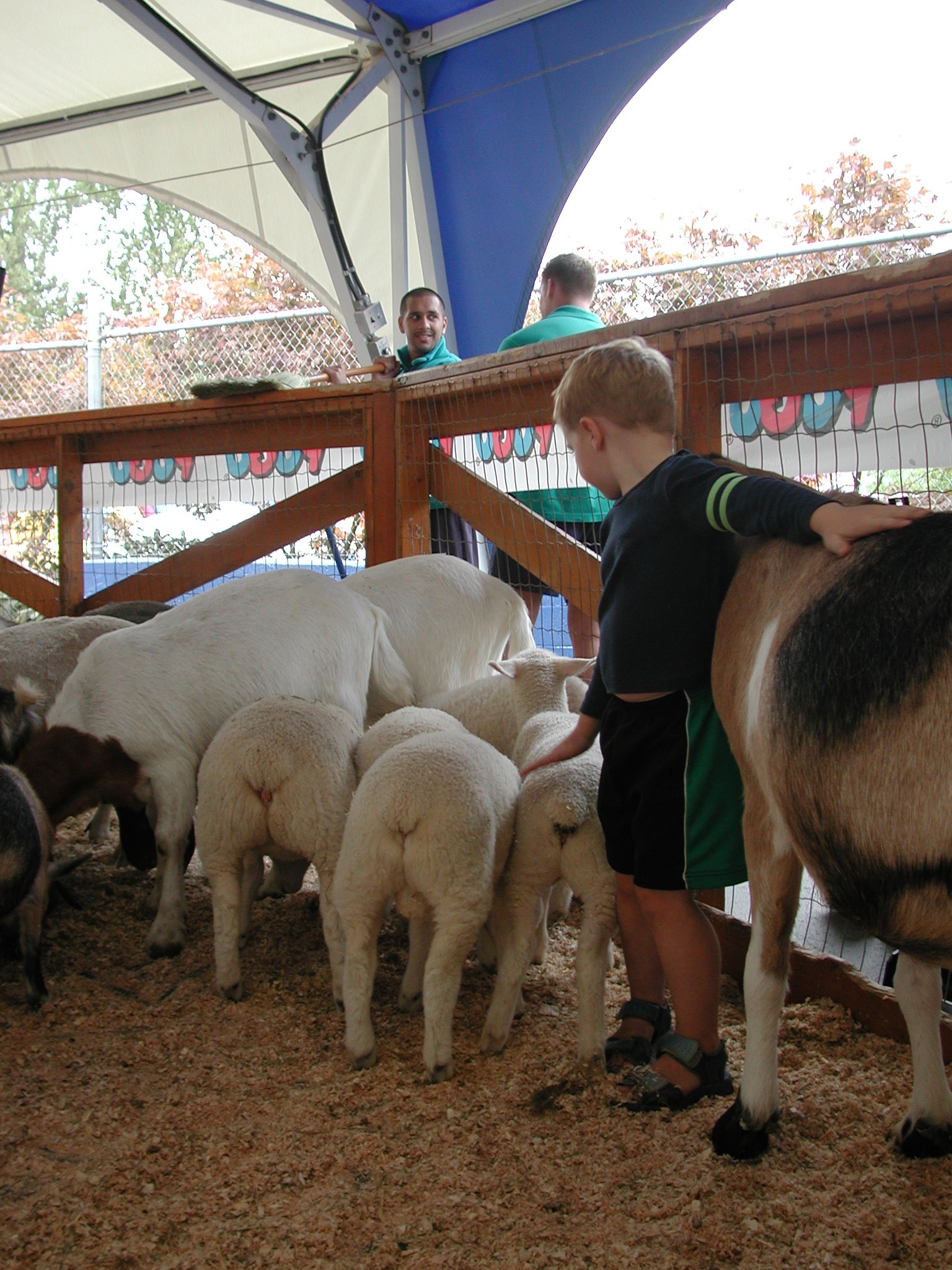 DSCN0248.JPG, 685680 bytes, 8/19/00