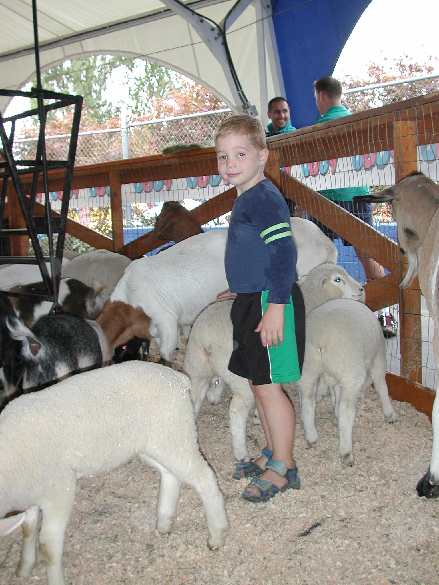 DSCN0249.JPG, 705574 bytes, 8/19/00