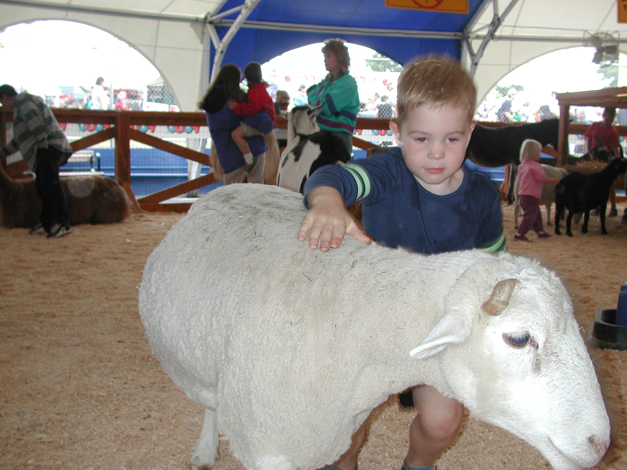 DSCN0250.JPG, 657377 bytes, 8/19/00