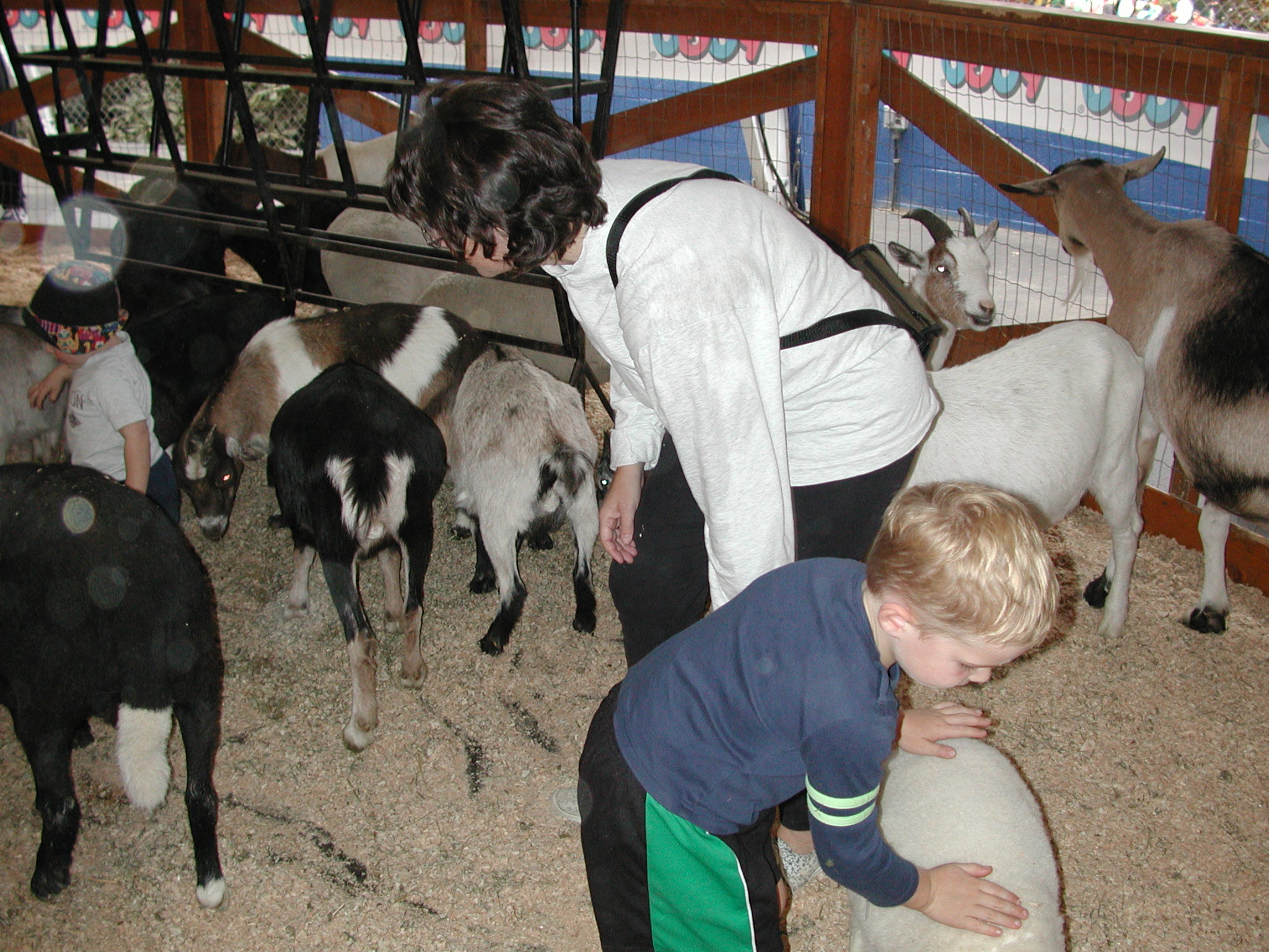 DSCN0251.JPG, 709915 bytes, 8/19/00