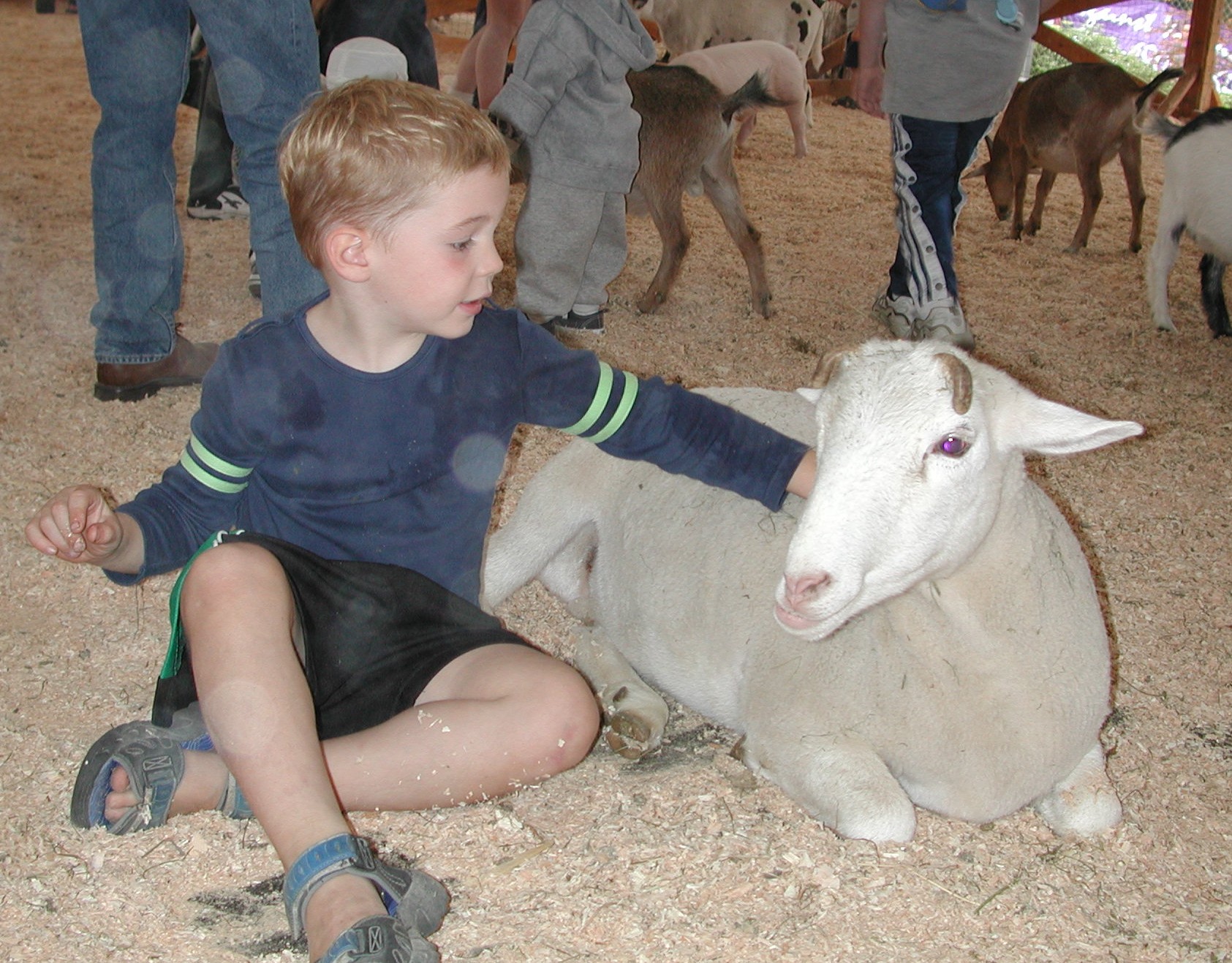 DSCN0252.JPG, 560241 bytes, 8/19/00