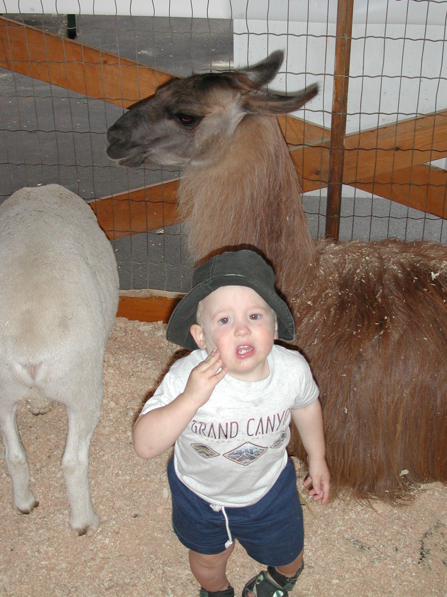 DSCN0256.JPG, 765227 bytes, 8/19/00