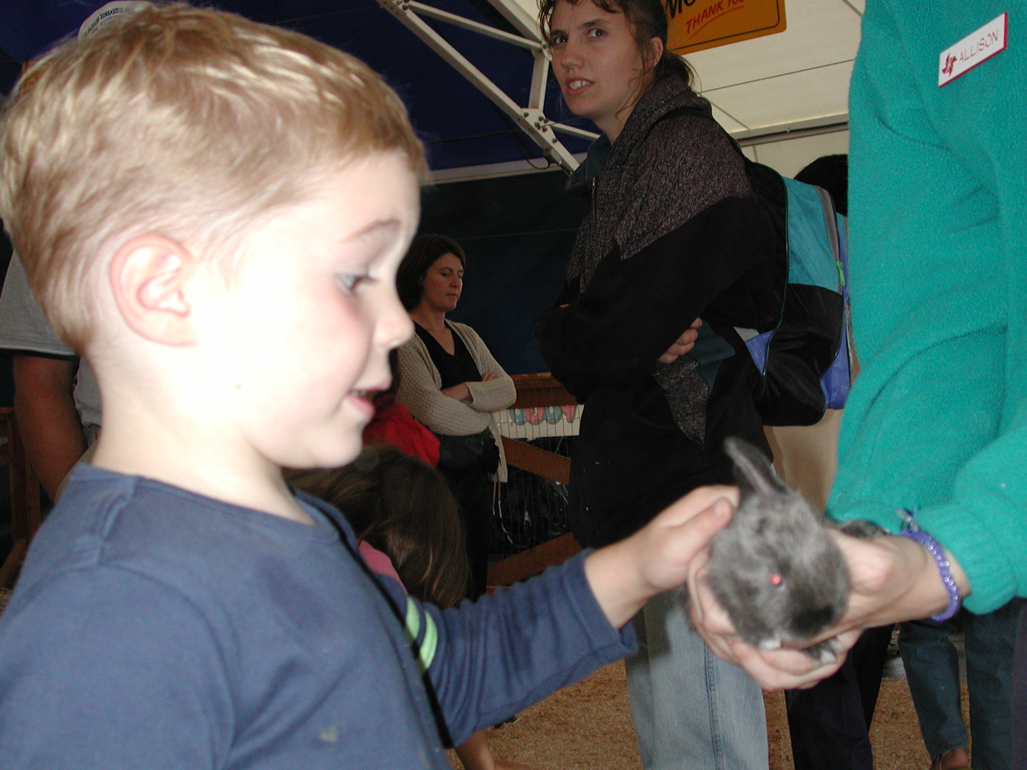 DSCN0258.JPG, 722016 bytes, 8/19/00