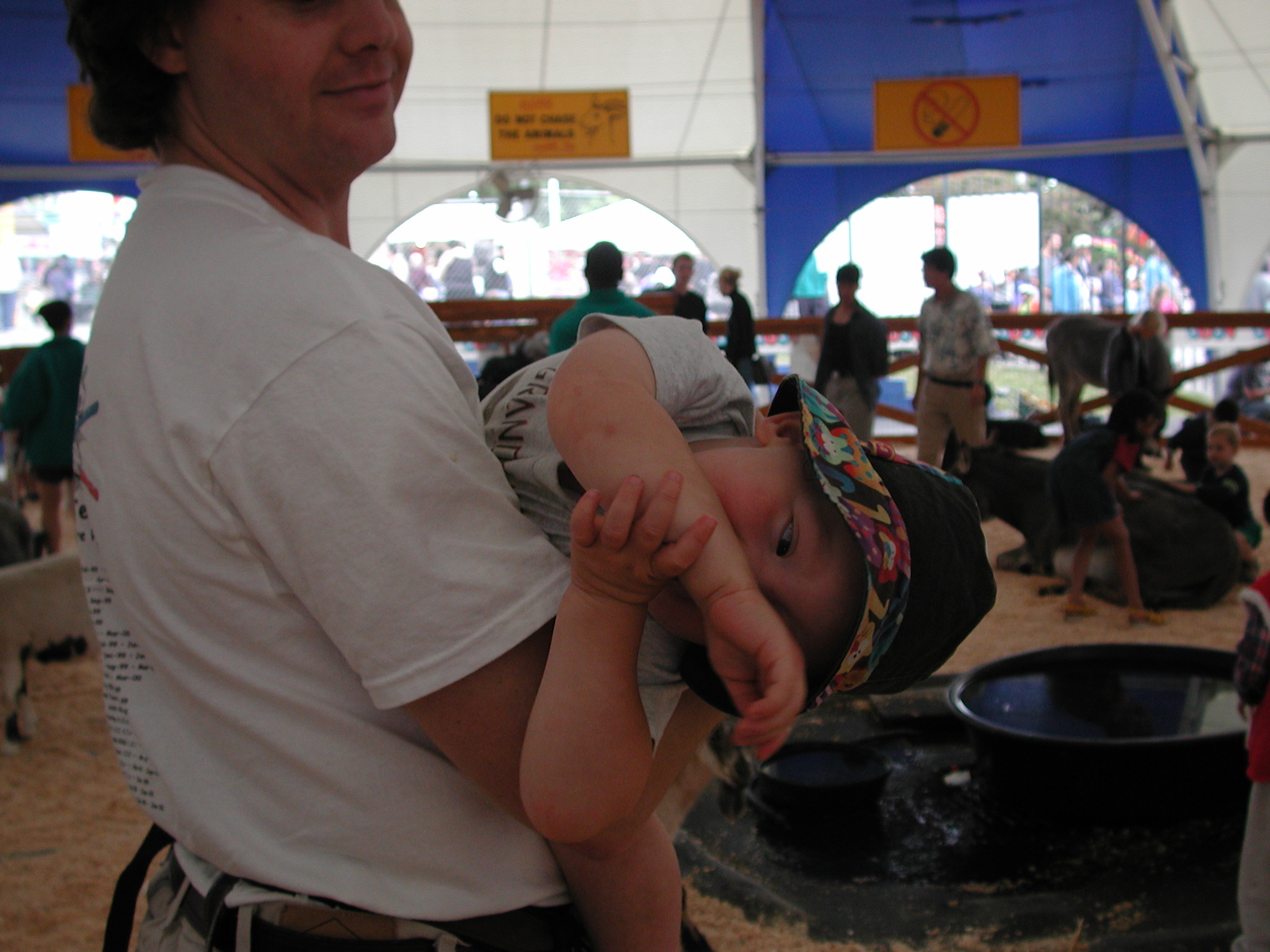 DSCN0265.JPG, 665428 bytes, 8/19/00