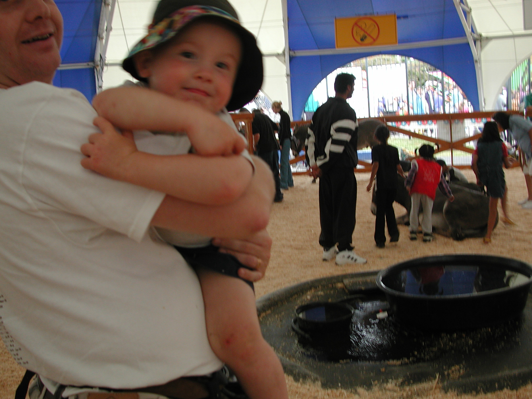 DSCN0266.JPG, 661124 bytes, 8/19/00