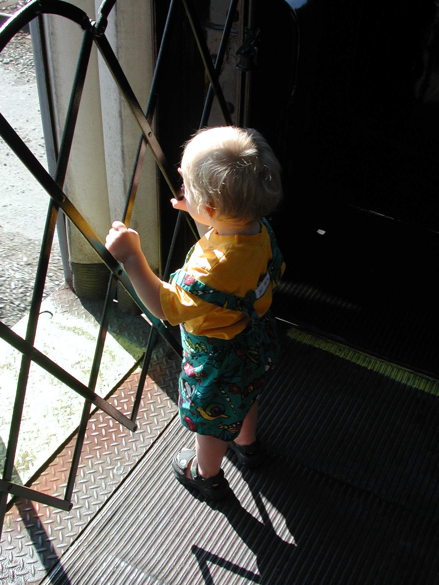 DSCN0048.JPG, 614879 bytes, 1/29/01