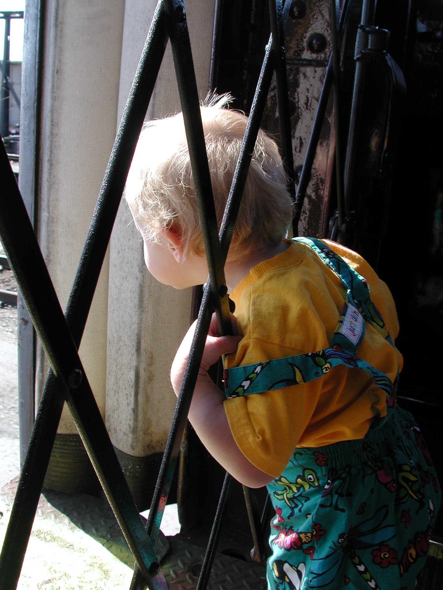 DSCN0049.JPG, 602671 bytes, 8/07/00