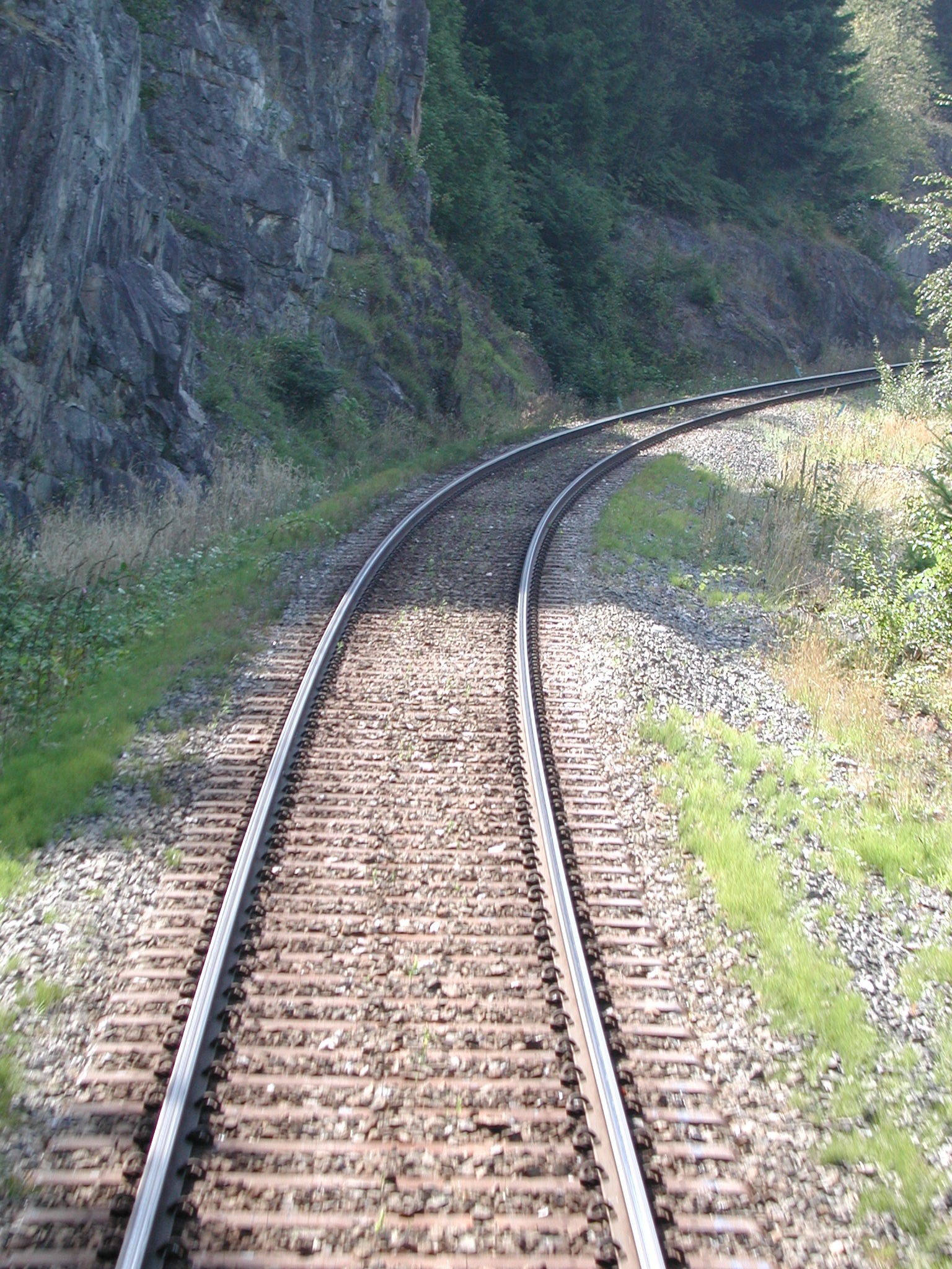 DSCN0056.JPG, 907645 bytes, 1/29/01