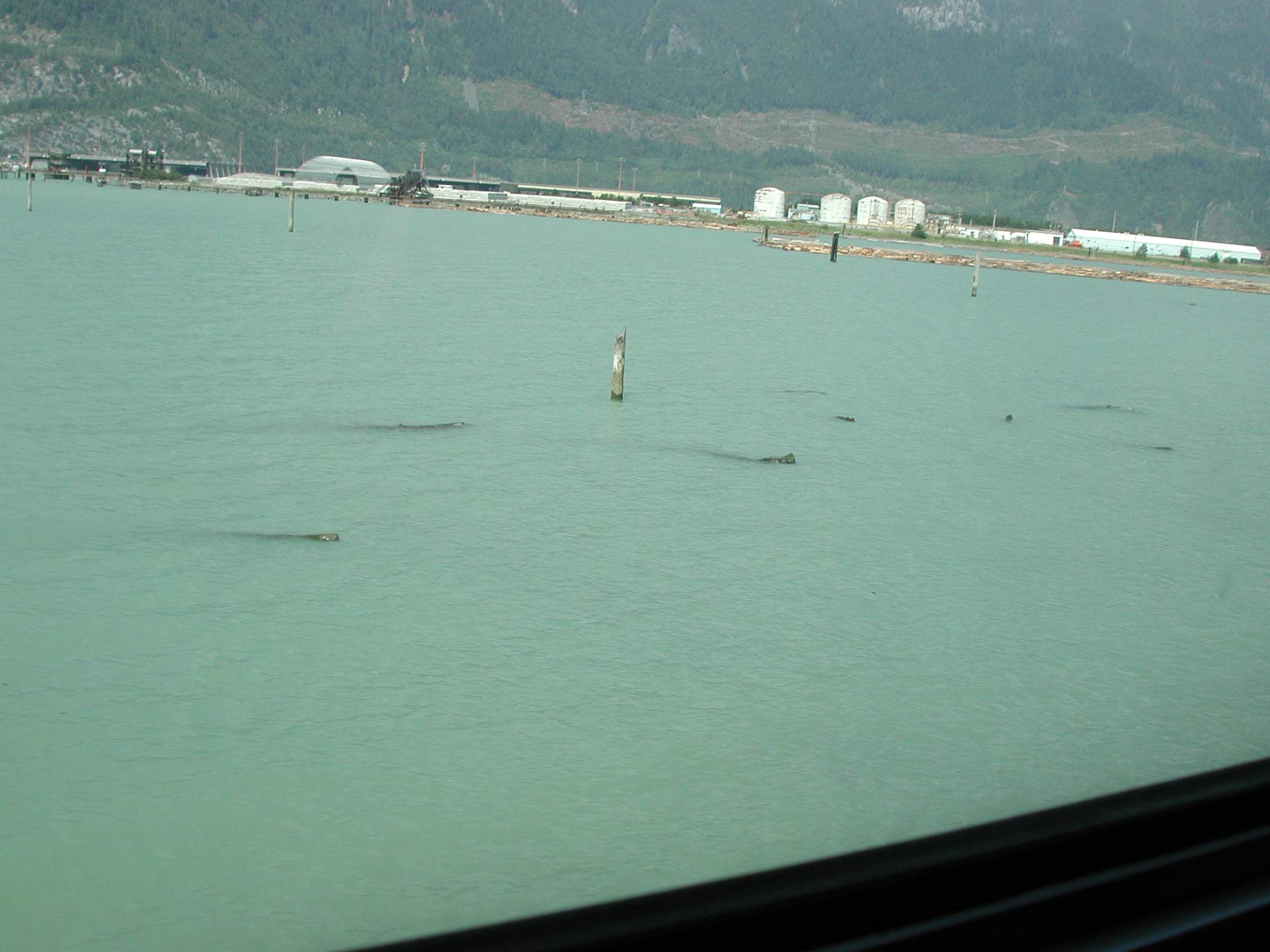 DSCN0068.JPG, 699547 bytes, 8/06/00