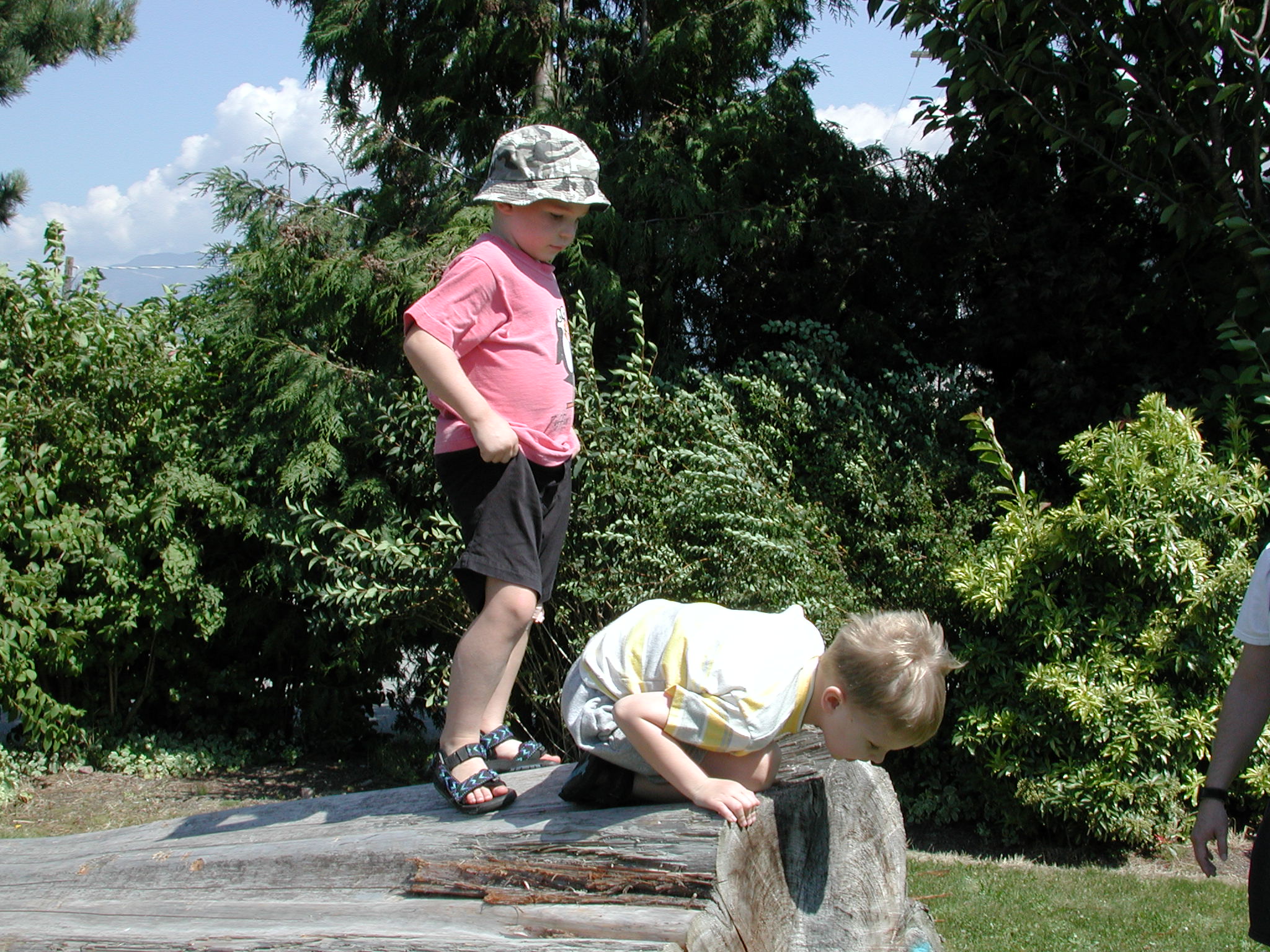 DSCN0074.JPG, 713902 bytes, 8/06/00