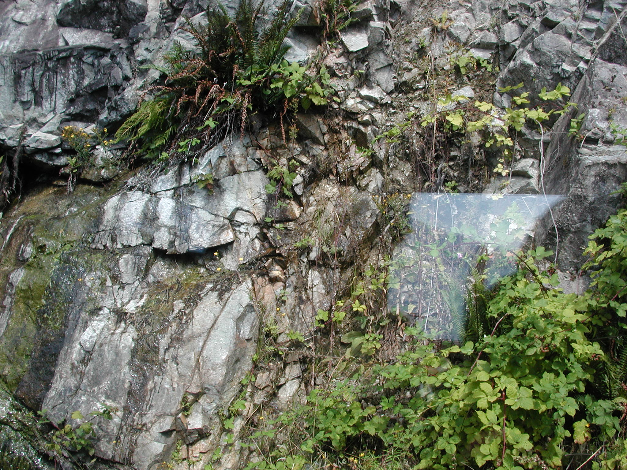 DSCN0090.JPG, 745300 bytes, 8/06/00