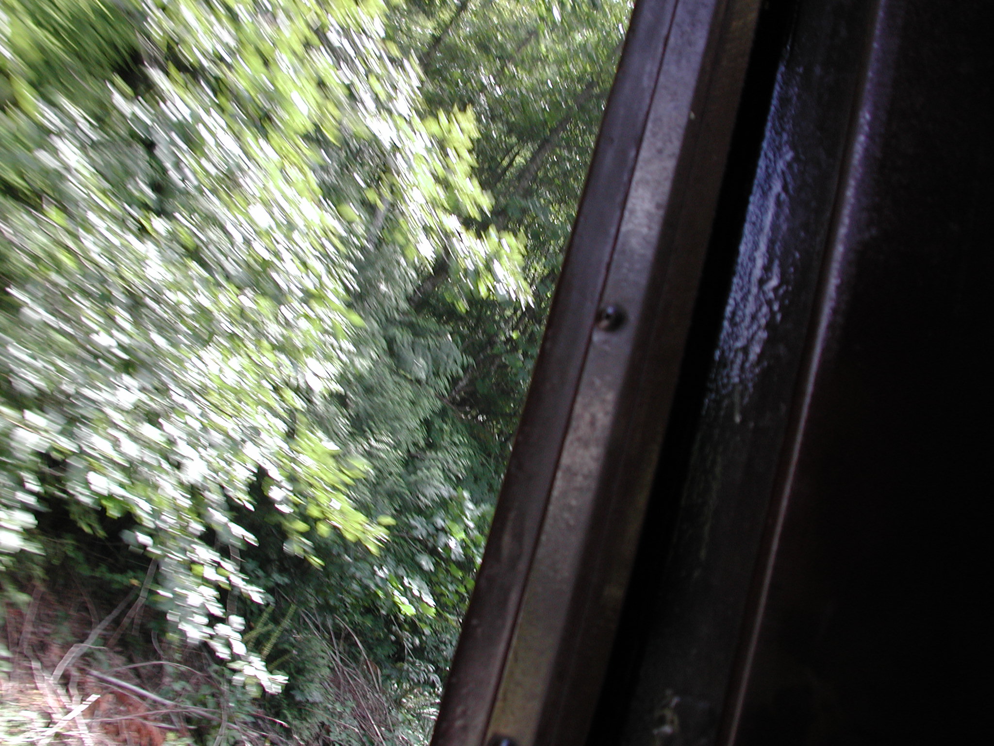 DSCN0094.JPG, 666656 bytes, 8/06/00