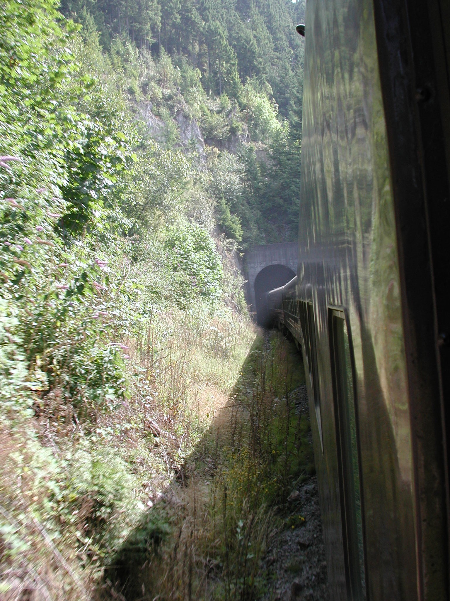 DSCN0095.JPG, 921946 bytes, 8/07/00