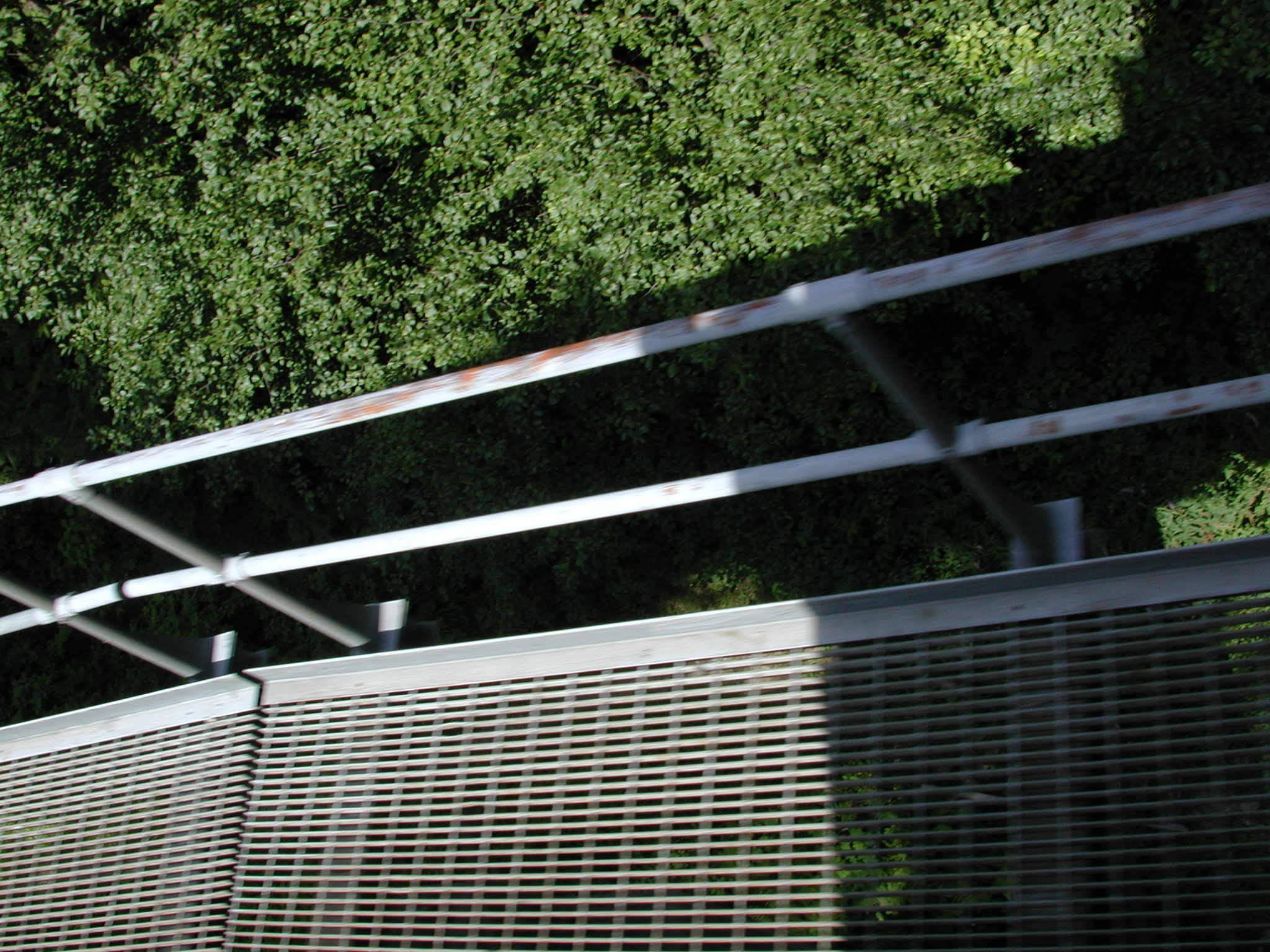 DSCN0098.JPG, 675083 bytes, 8/06/00