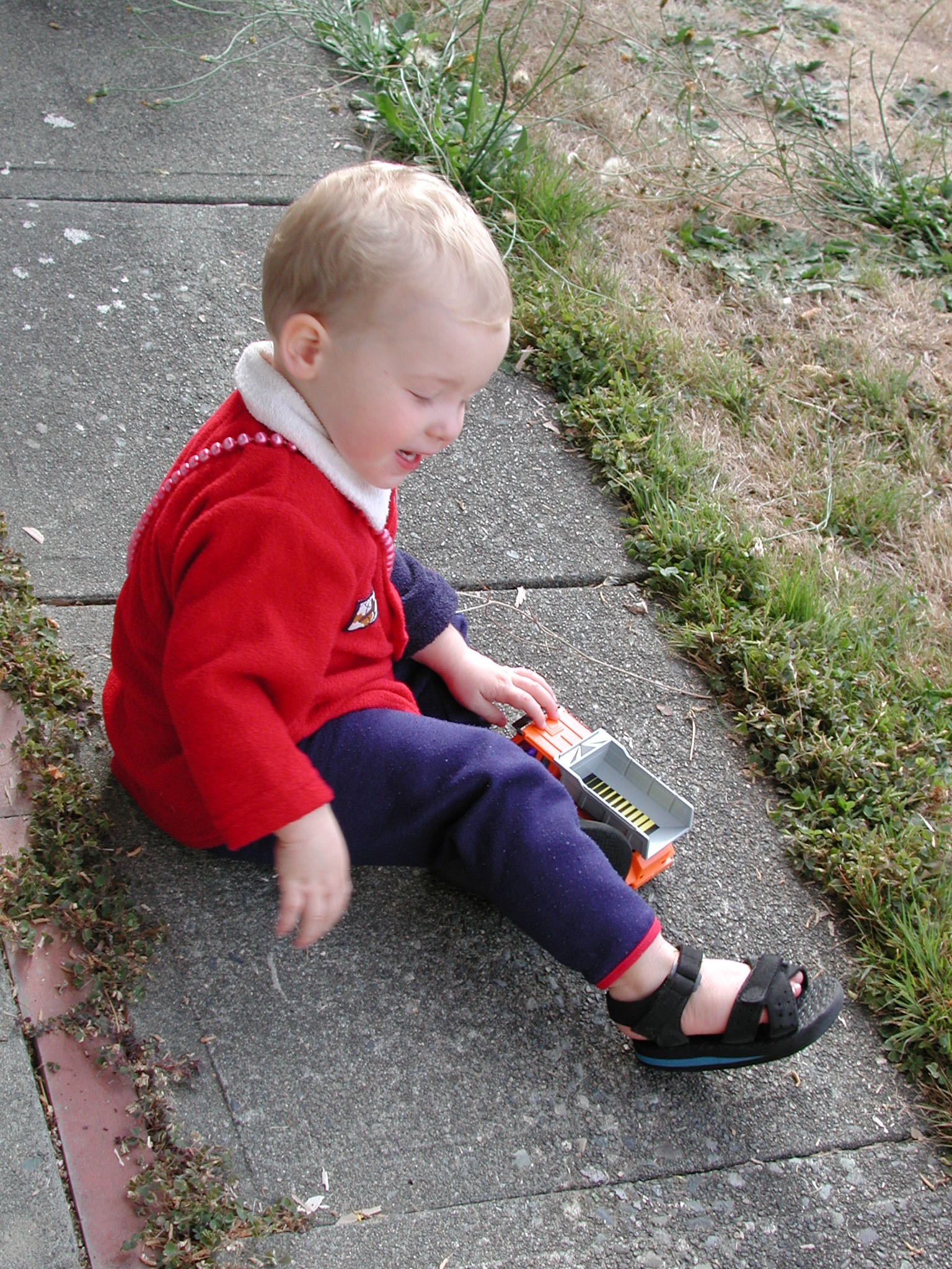 DSCN0667.JPG, 937010 bytes, 1/29/01