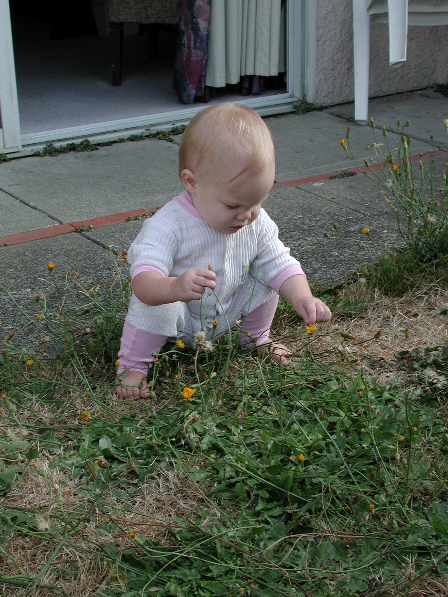 DSCN0669.JPG, 824952 bytes, 1/29/01