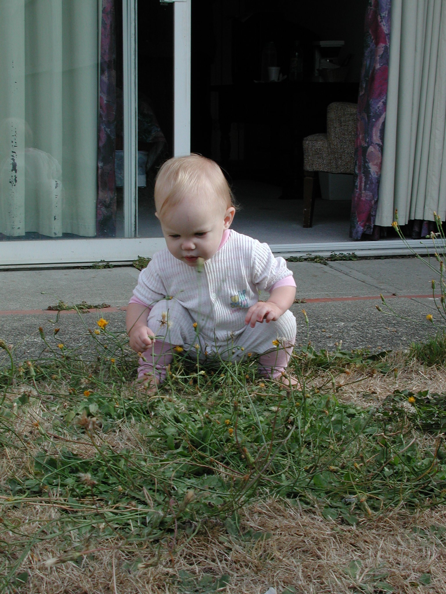 DSCN0670.JPG, 753231 bytes, 1/29/01