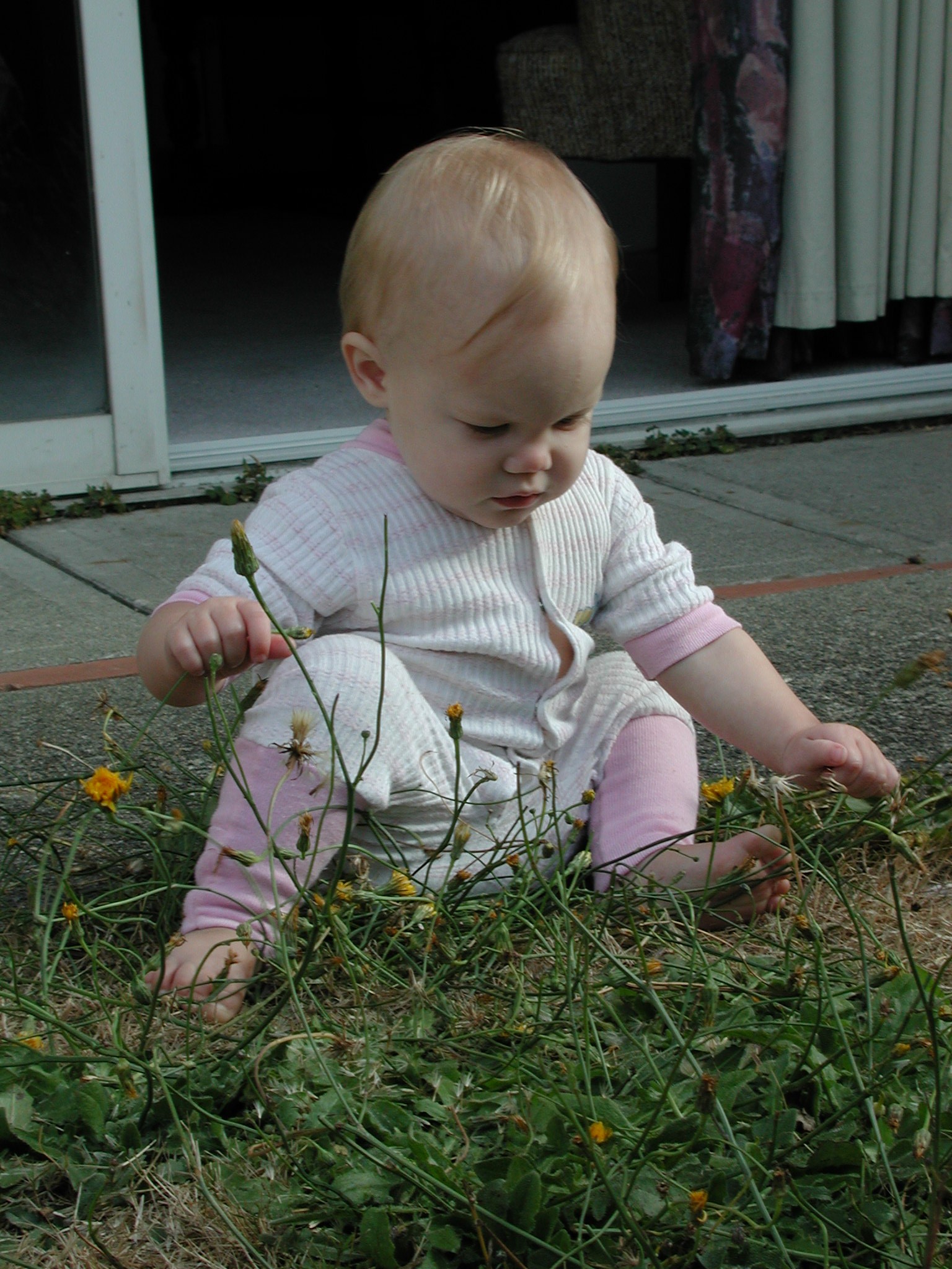 DSCN0672.JPG, 660533 bytes, 1/29/01