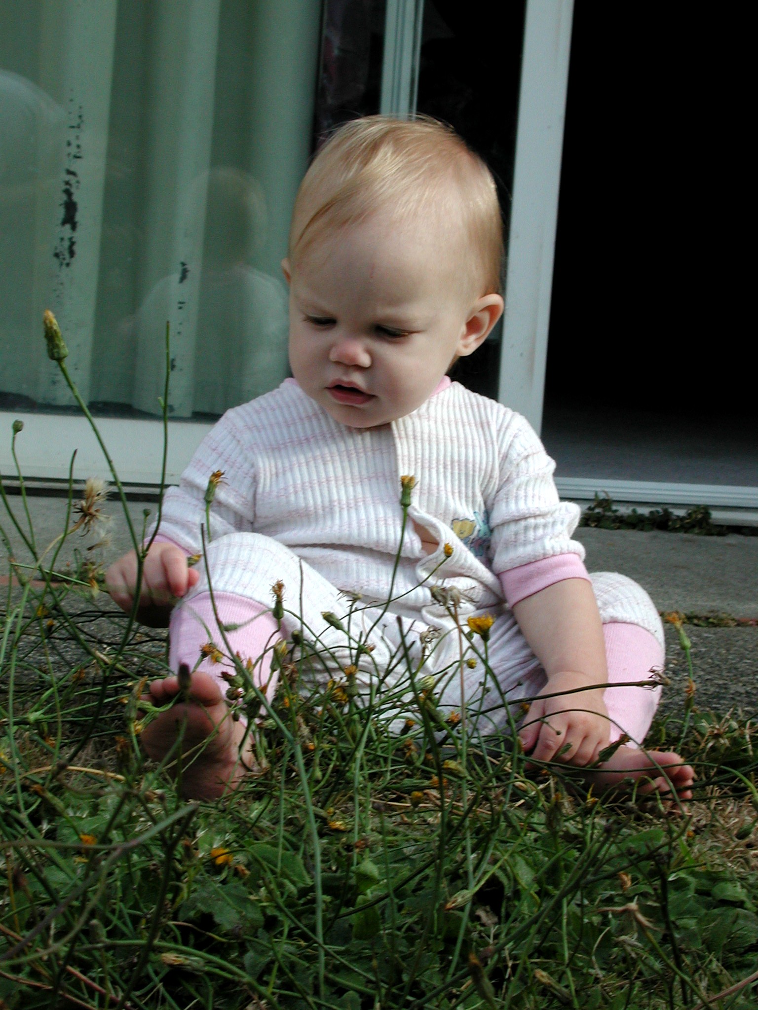 DSCN0673.JPG, 631131 bytes, 1/29/01