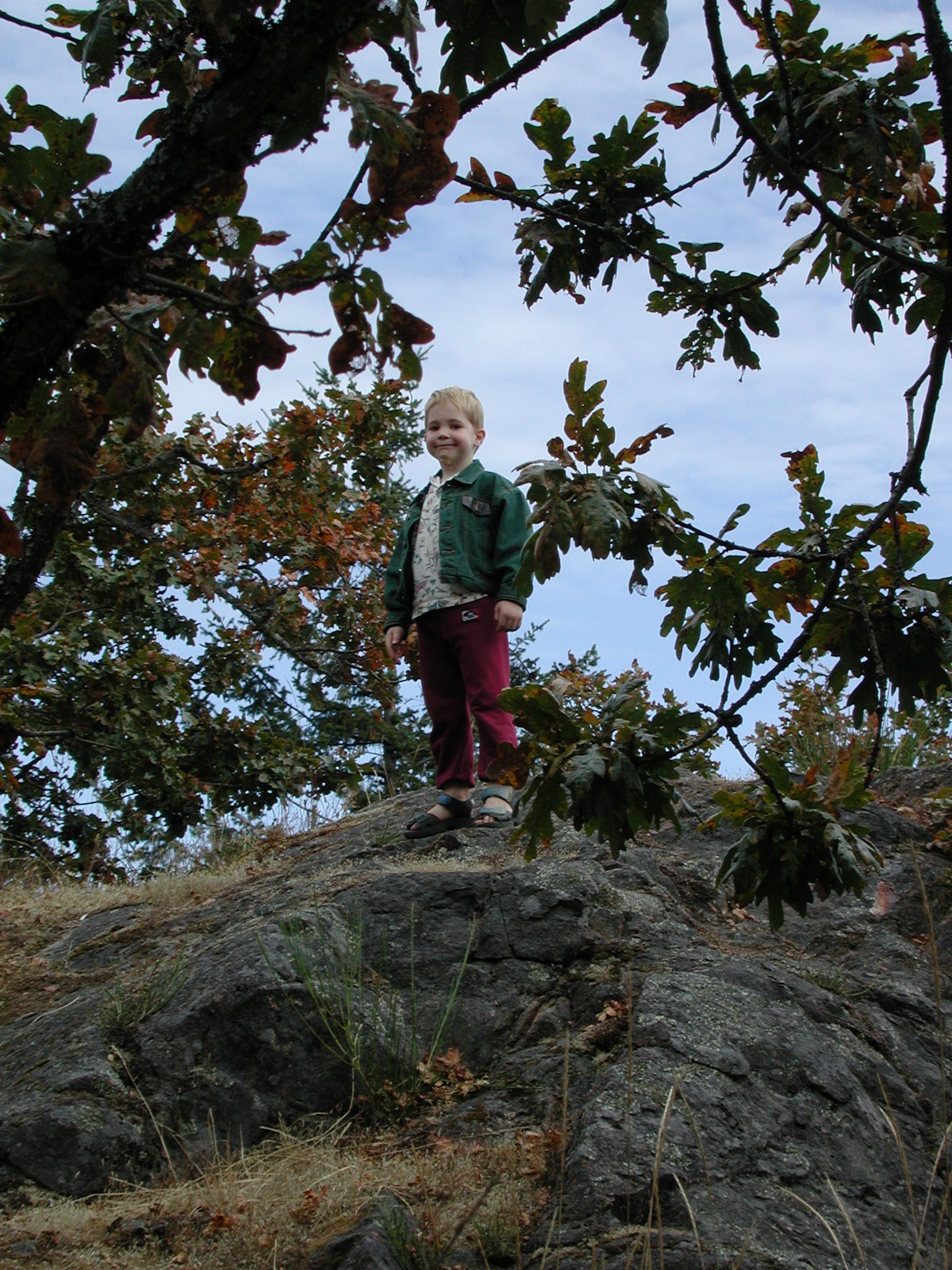 DSCN0681.JPG, 853161 bytes, 1/29/01