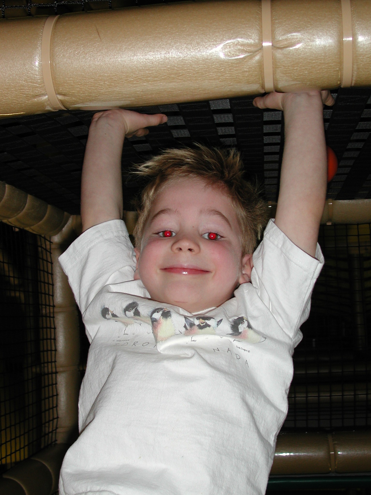 DSCN1115.JPG, 561387 bytes, 2/01/01