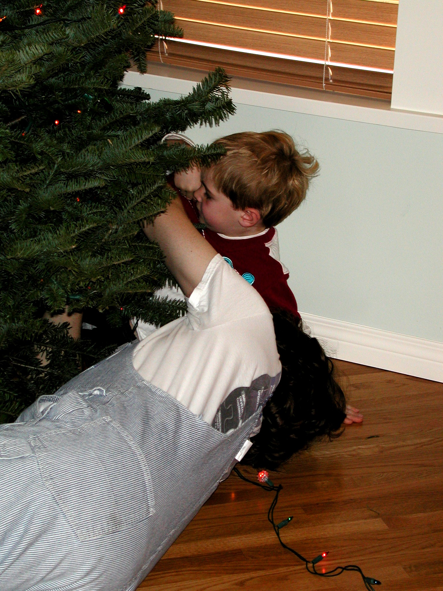 DSCN1172.JPG, 787224 bytes, 12/26/00