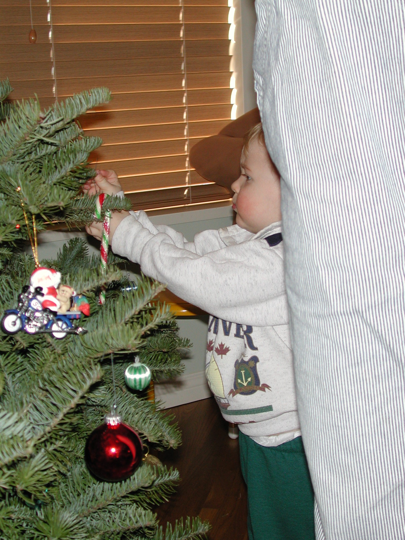 DSCN1173.JPG, 757321 bytes, 12/26/00