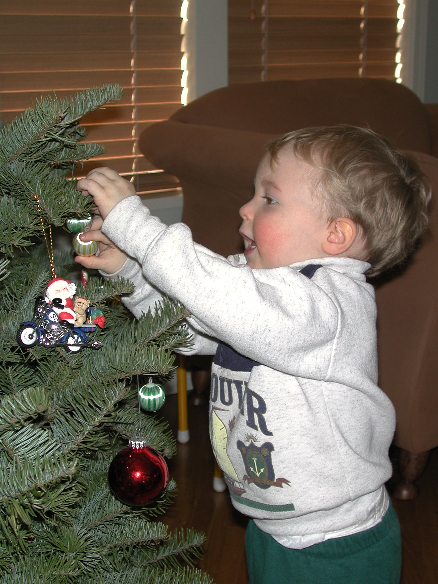 DSCN1175.JPG, 689357 bytes, 12/26/00