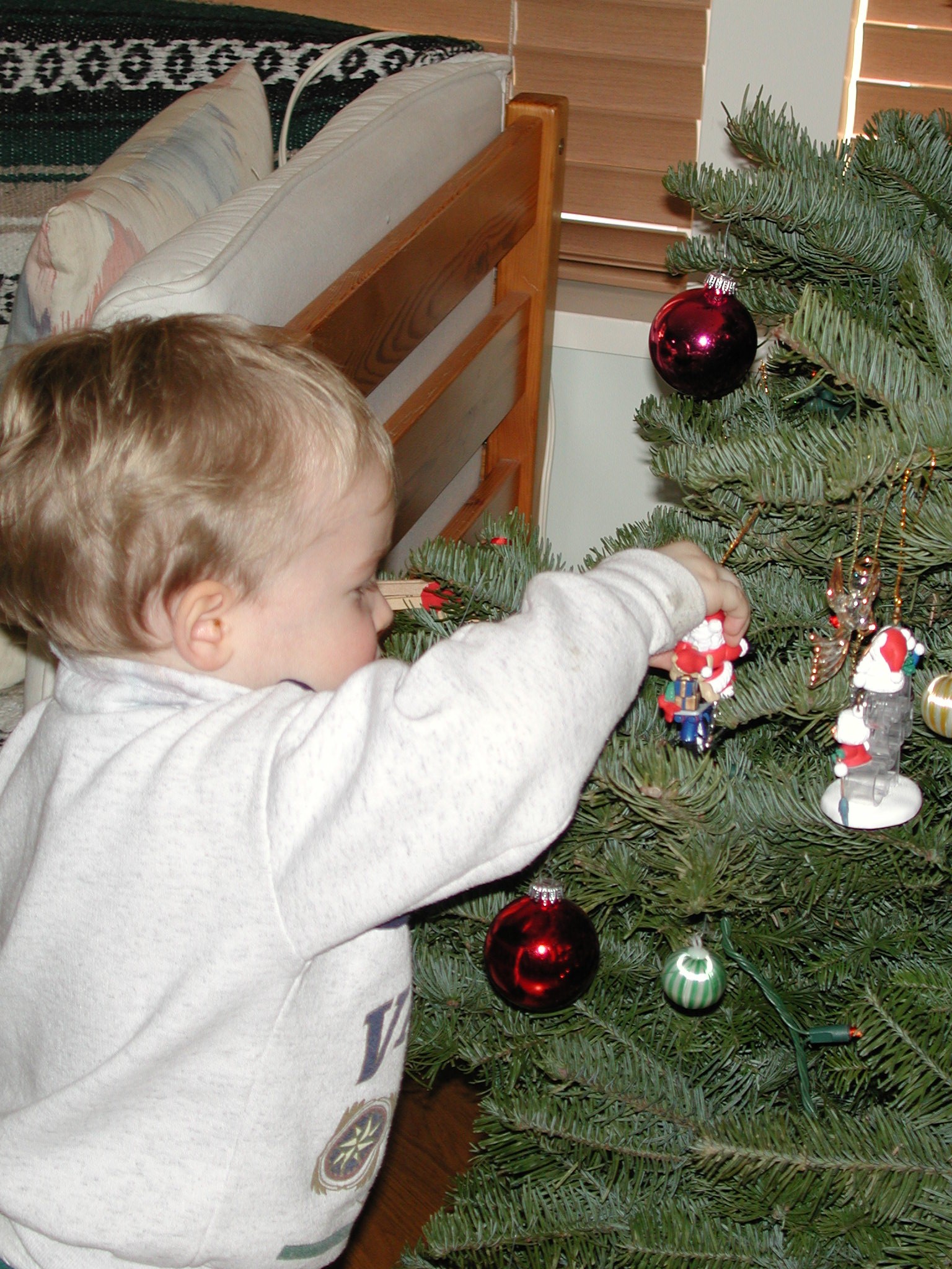 DSCN1177.JPG, 755801 bytes, 12/26/00