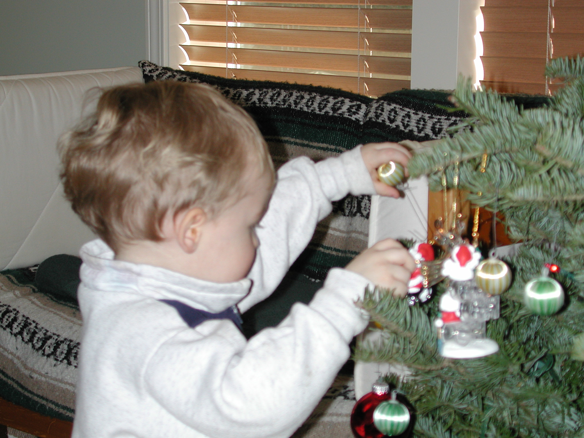 DSCN1178.JPG, 691425 bytes, 12/17/00