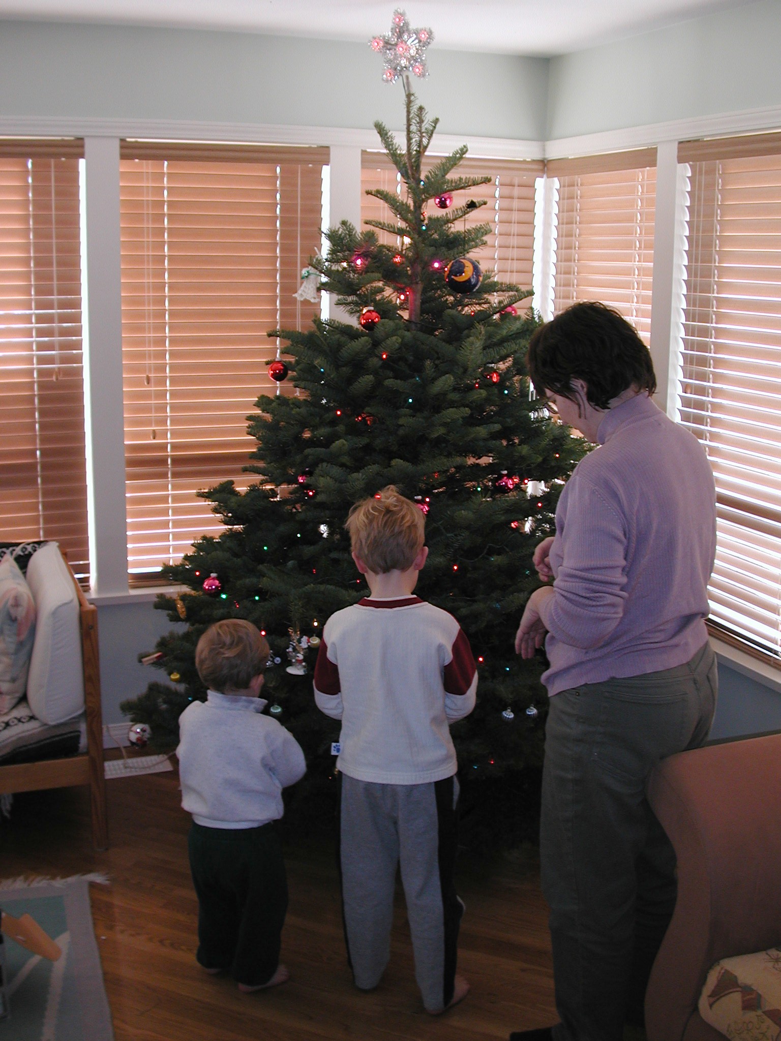 DSCN1181.JPG, 605173 bytes, 12/26/00