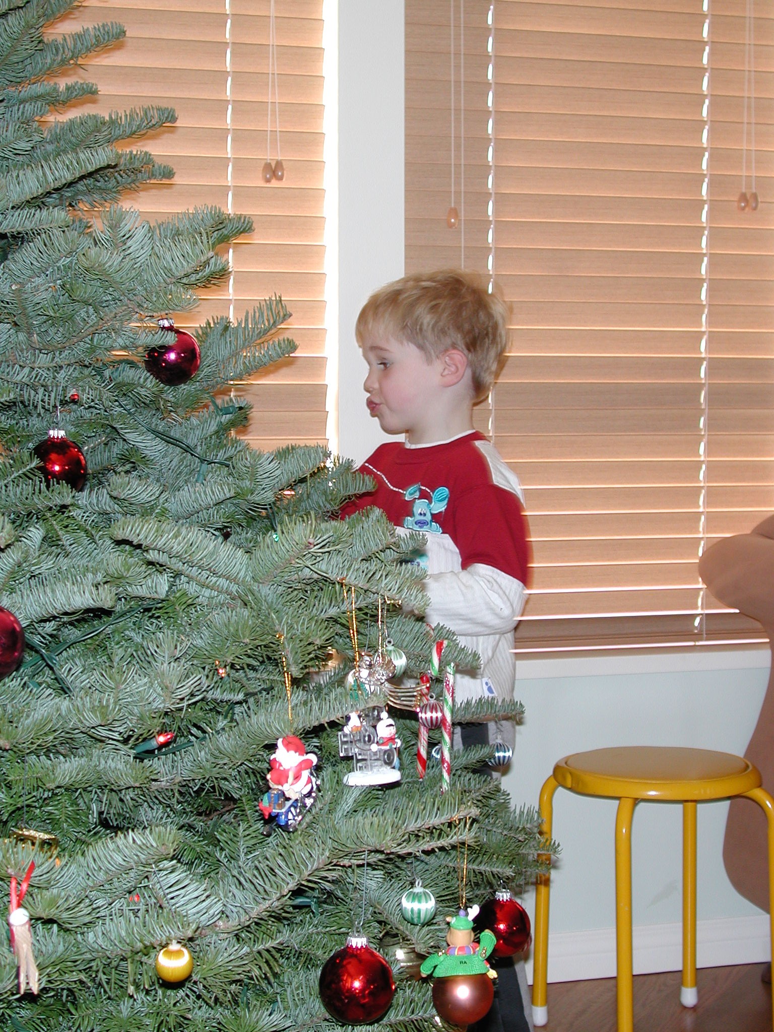 DSCN1183.JPG, 856449 bytes, 12/26/00