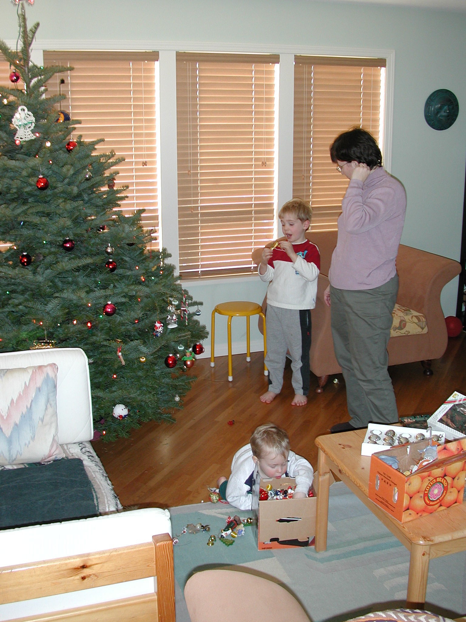 DSCN1186.JPG, 679259 bytes, 12/26/00