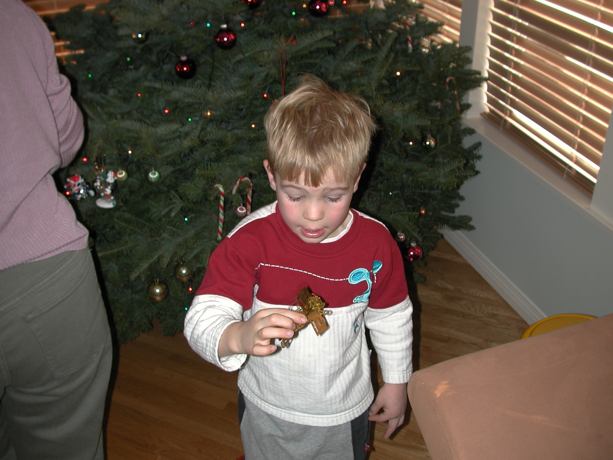 DSCN1187.JPG, 646375 bytes, 12/17/00