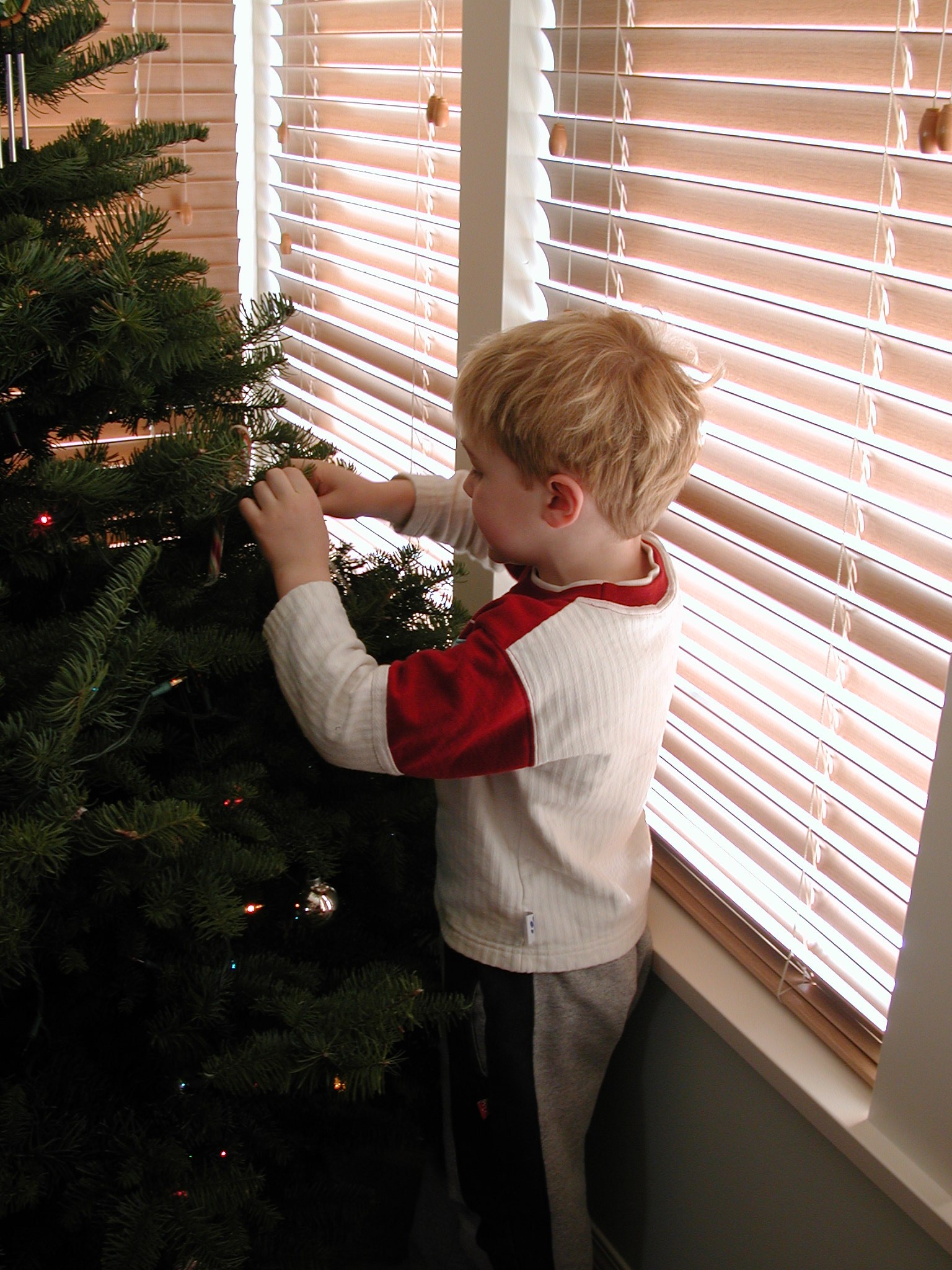 DSCN1190.JPG, 632889 bytes, 12/27/00