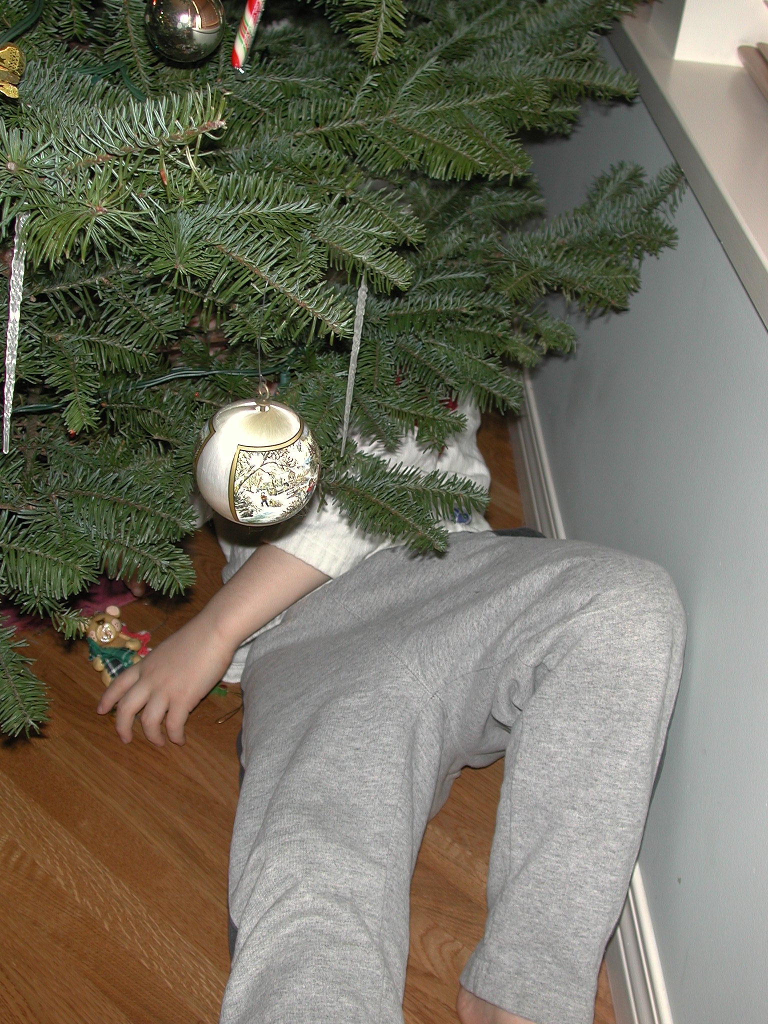 DSCN1191.JPG, 772521 bytes, 12/27/00