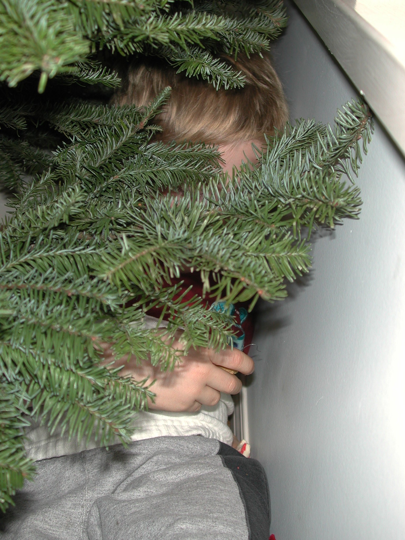 DSCN1192.JPG, 704906 bytes, 12/27/00