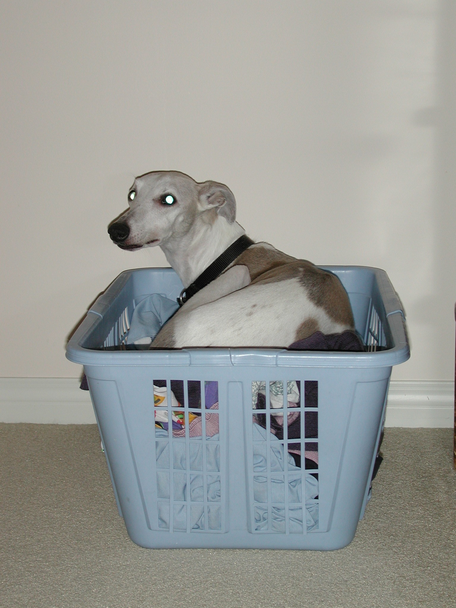 DSCN1212.JPG, 577758 bytes, 12/27/00